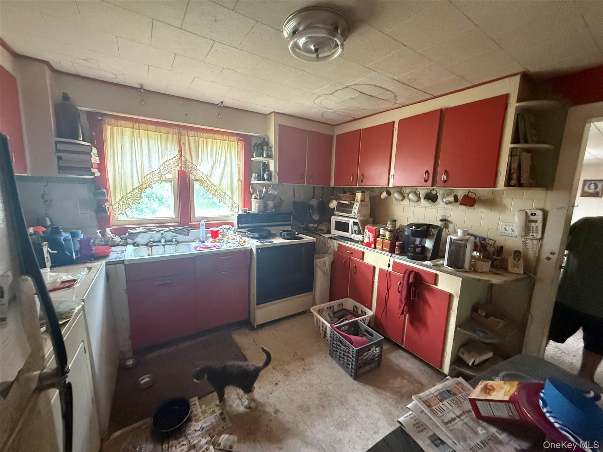 18 Pettit Avenue, Kingston, NY 12401