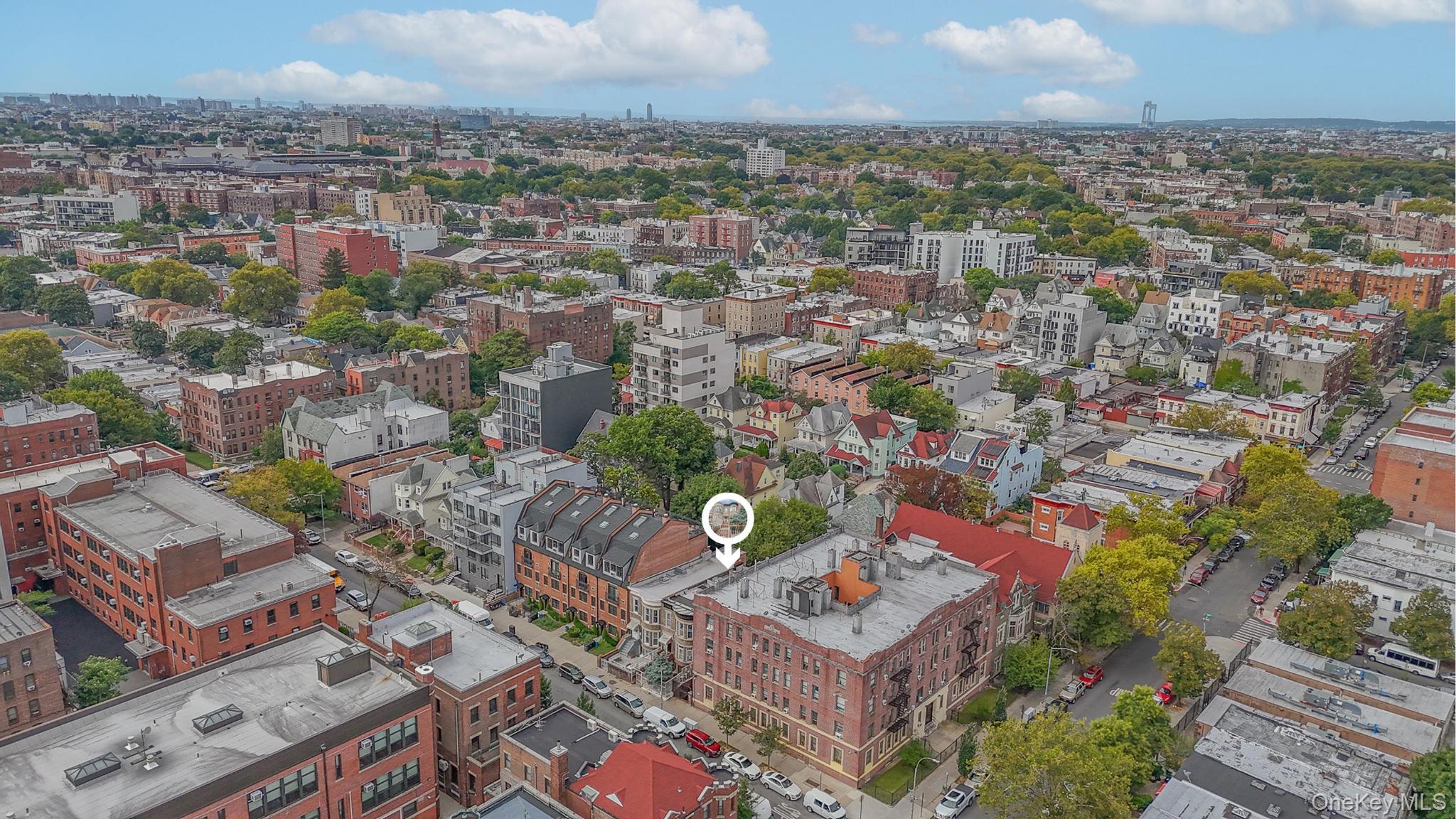 448 E 29th Street, Brooklyn, NY 11226