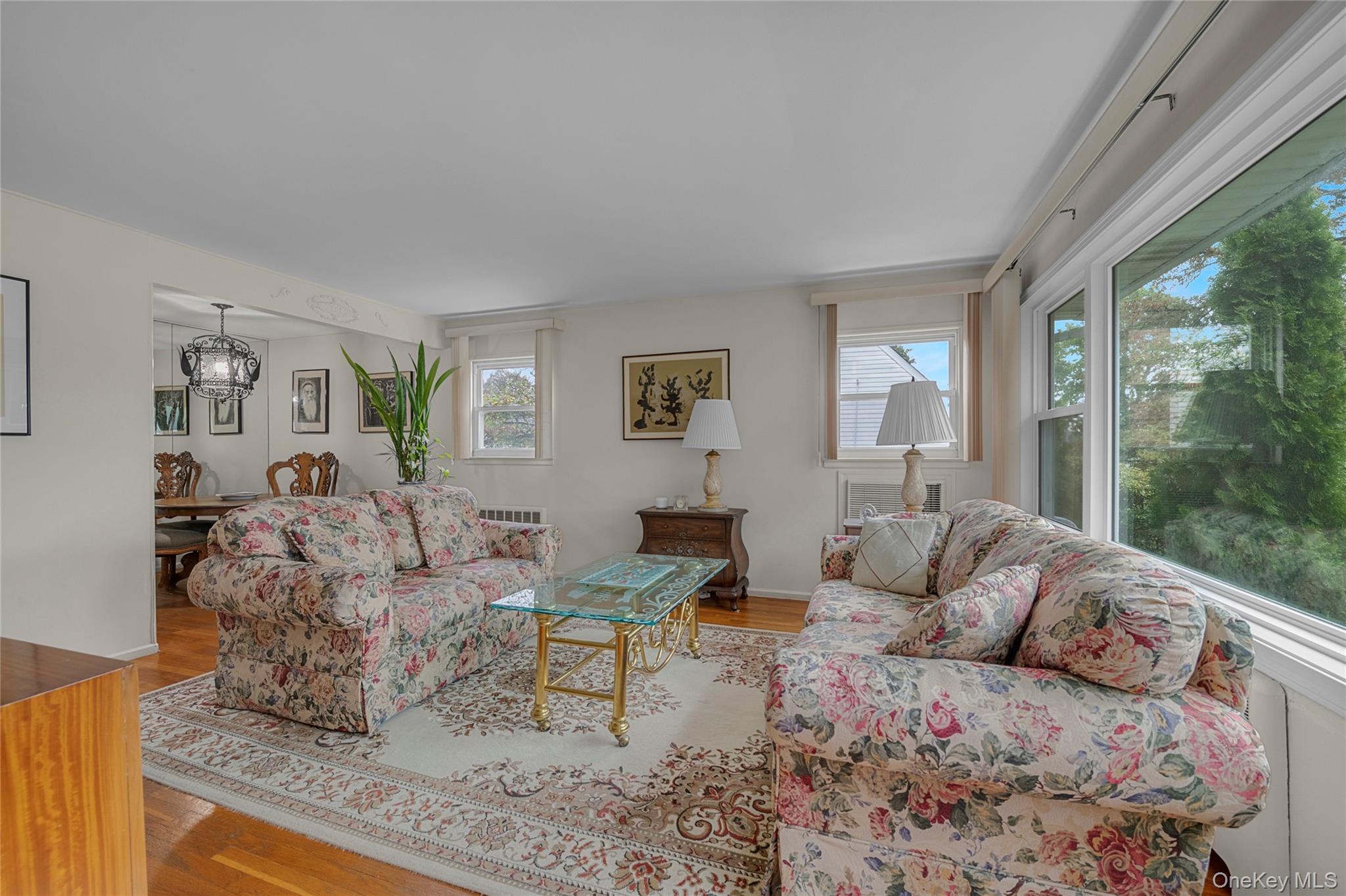 25 Campbell Street, New Hyde Park, NY 11040