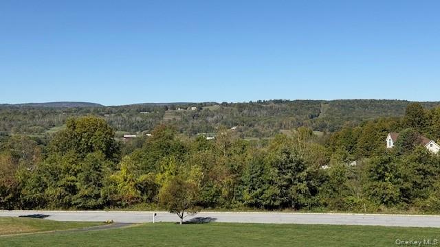 96 Bender Road, Westtown, NY 10998