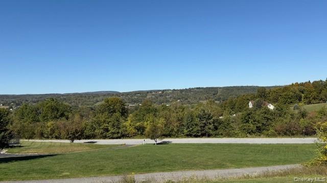 96 Bender Road, Westtown, NY 10998