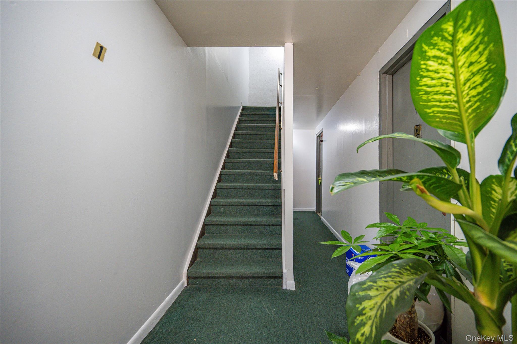 53-37 97 Street, Corona, NY 11368