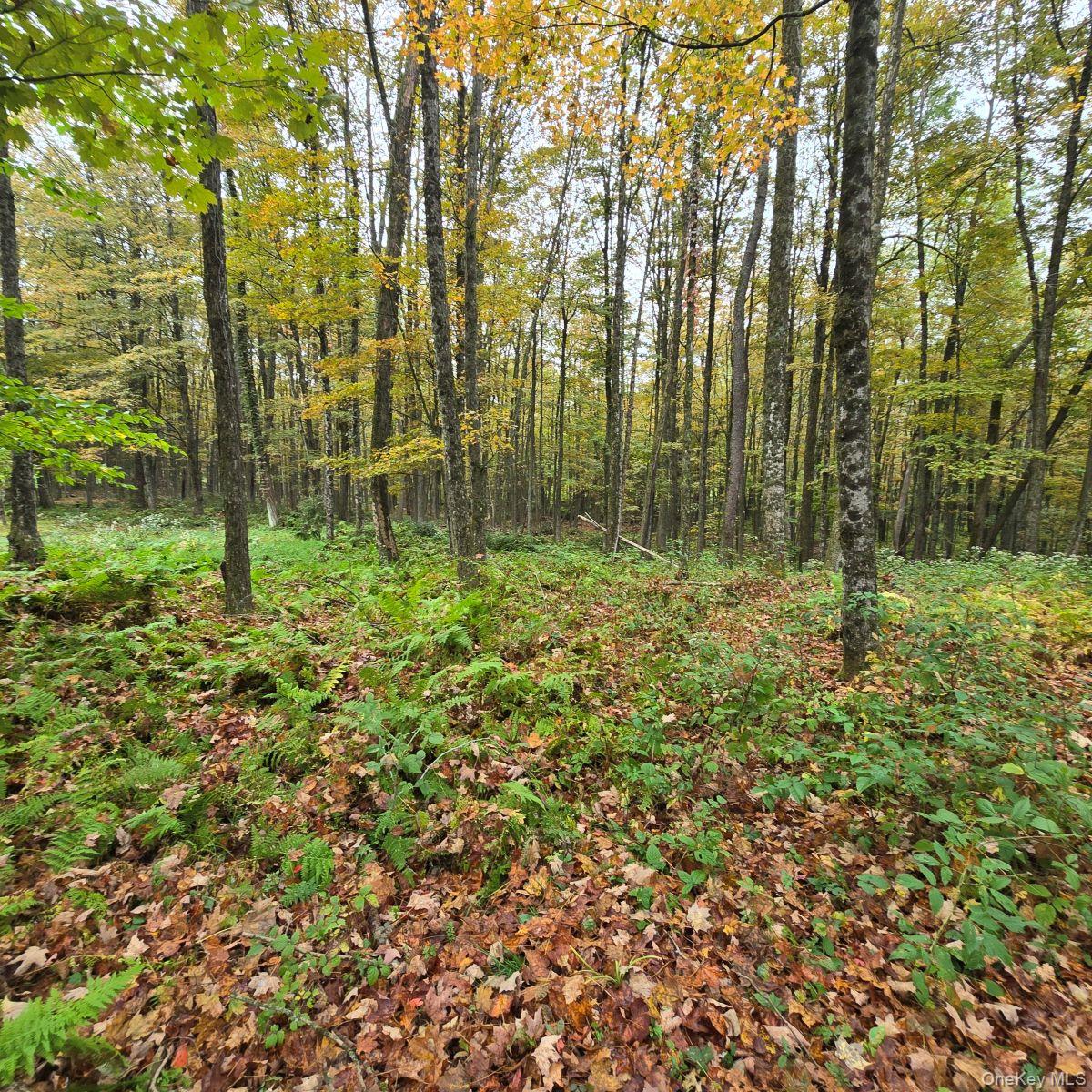 80 Swiss Hill Road N, Jeffersonville, NY 12748