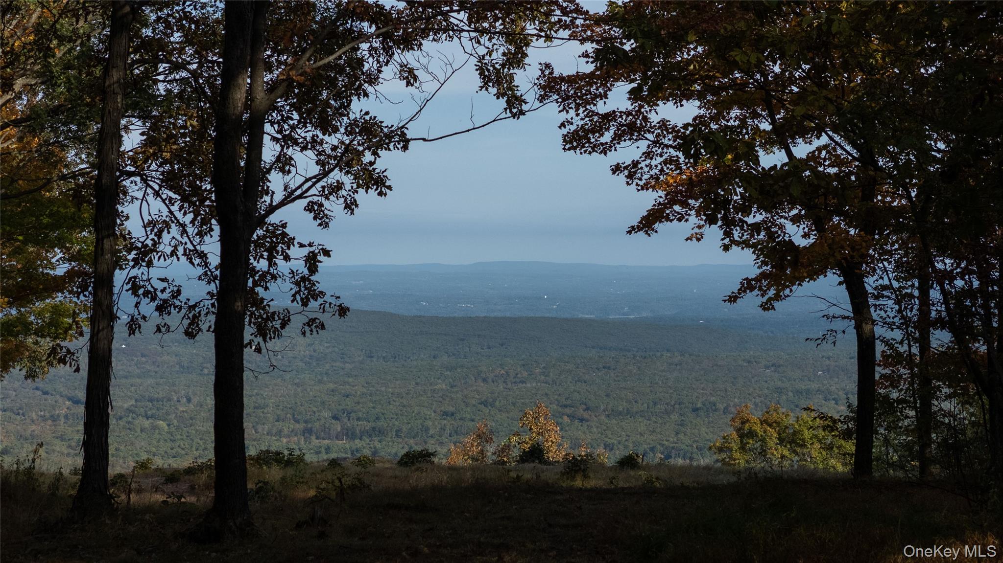 326 Raycliffe Drive, Woodstock, NY 12498