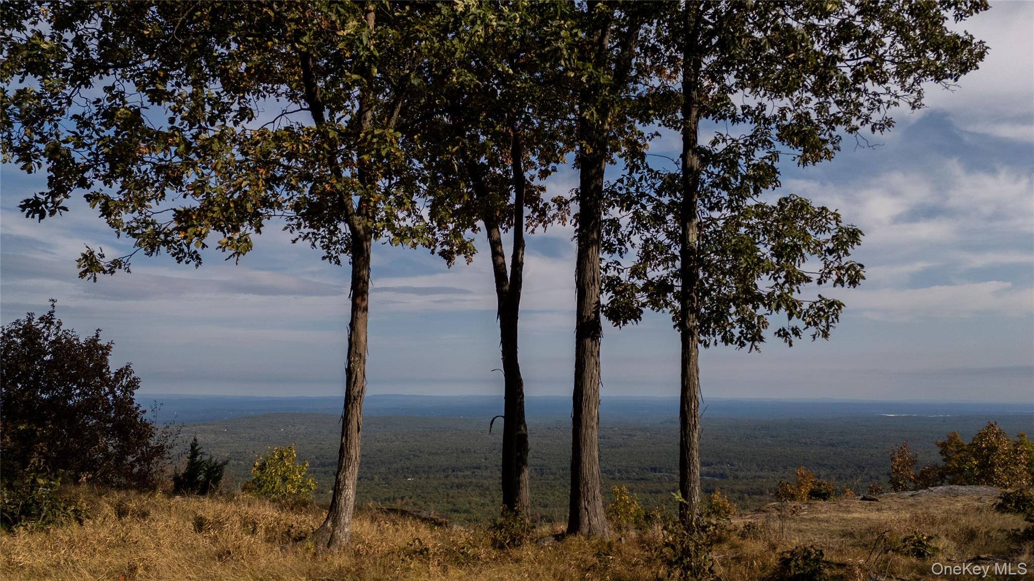 326 Raycliffe Drive, Woodstock, NY 12498