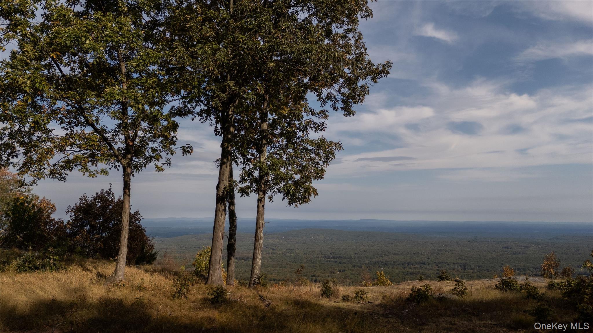 326 Raycliffe Drive, Woodstock, NY 12498