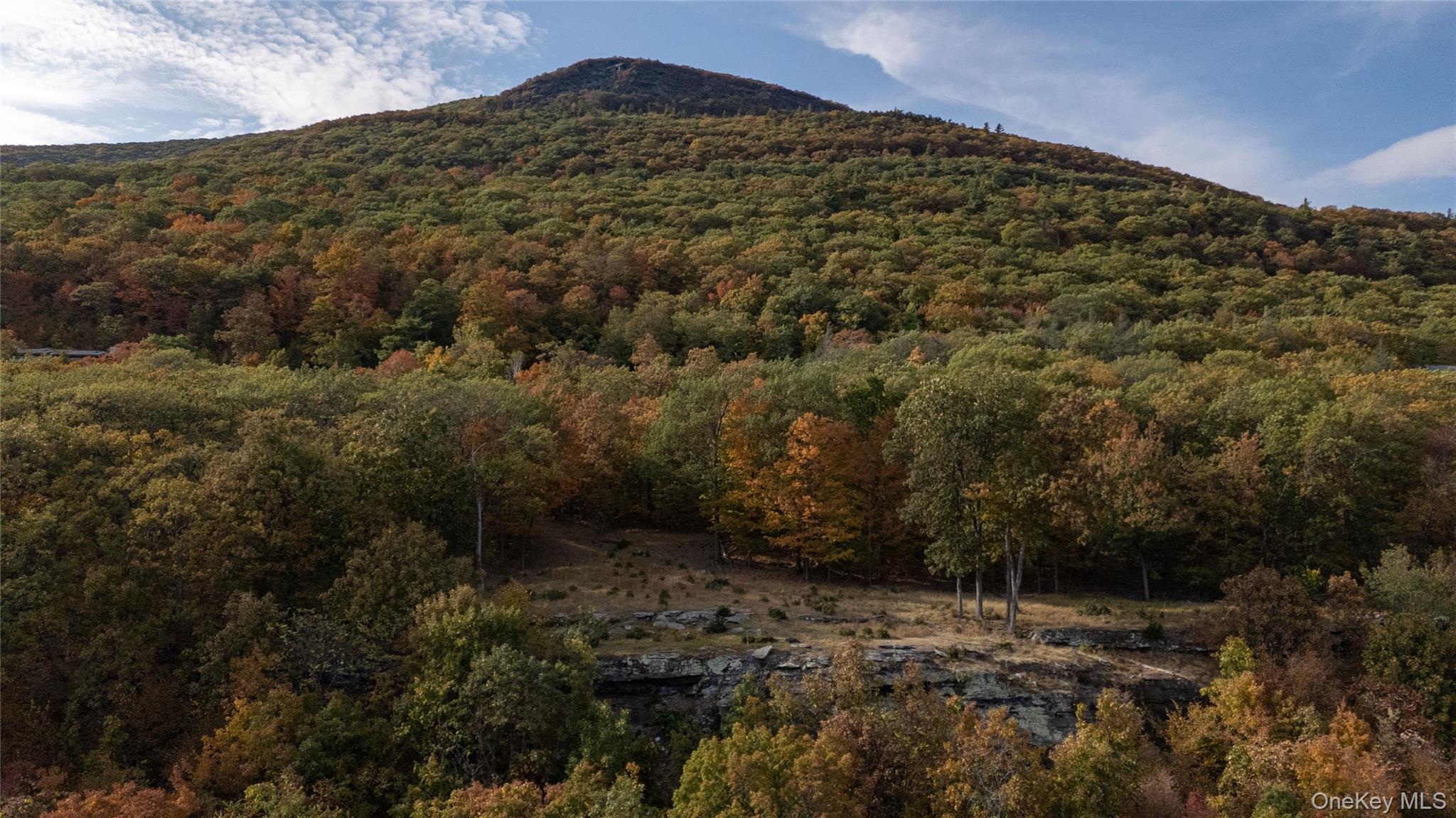 326 Raycliffe Drive, Woodstock, NY 12498