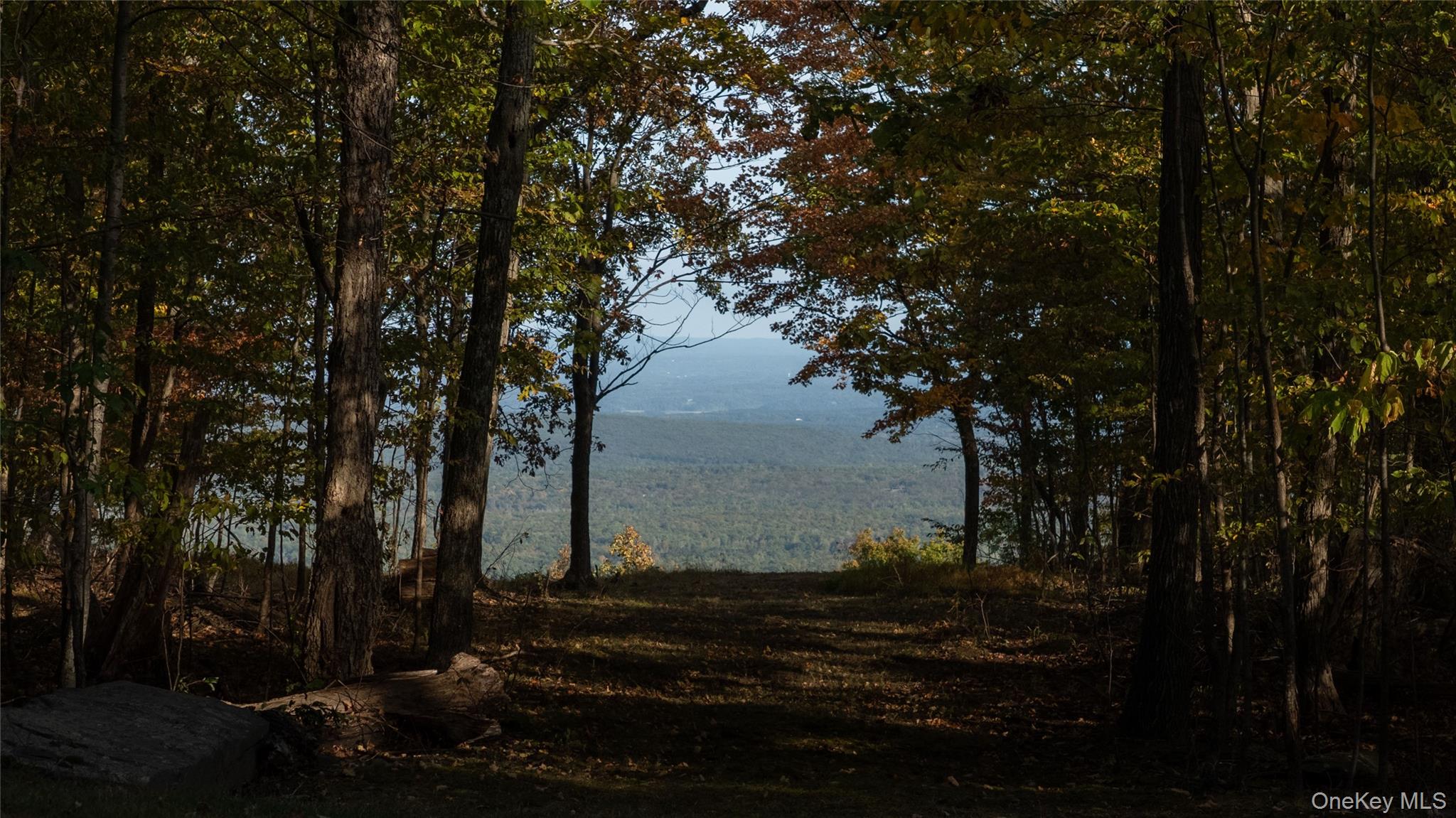 326 Raycliffe Drive, Woodstock, NY 12498