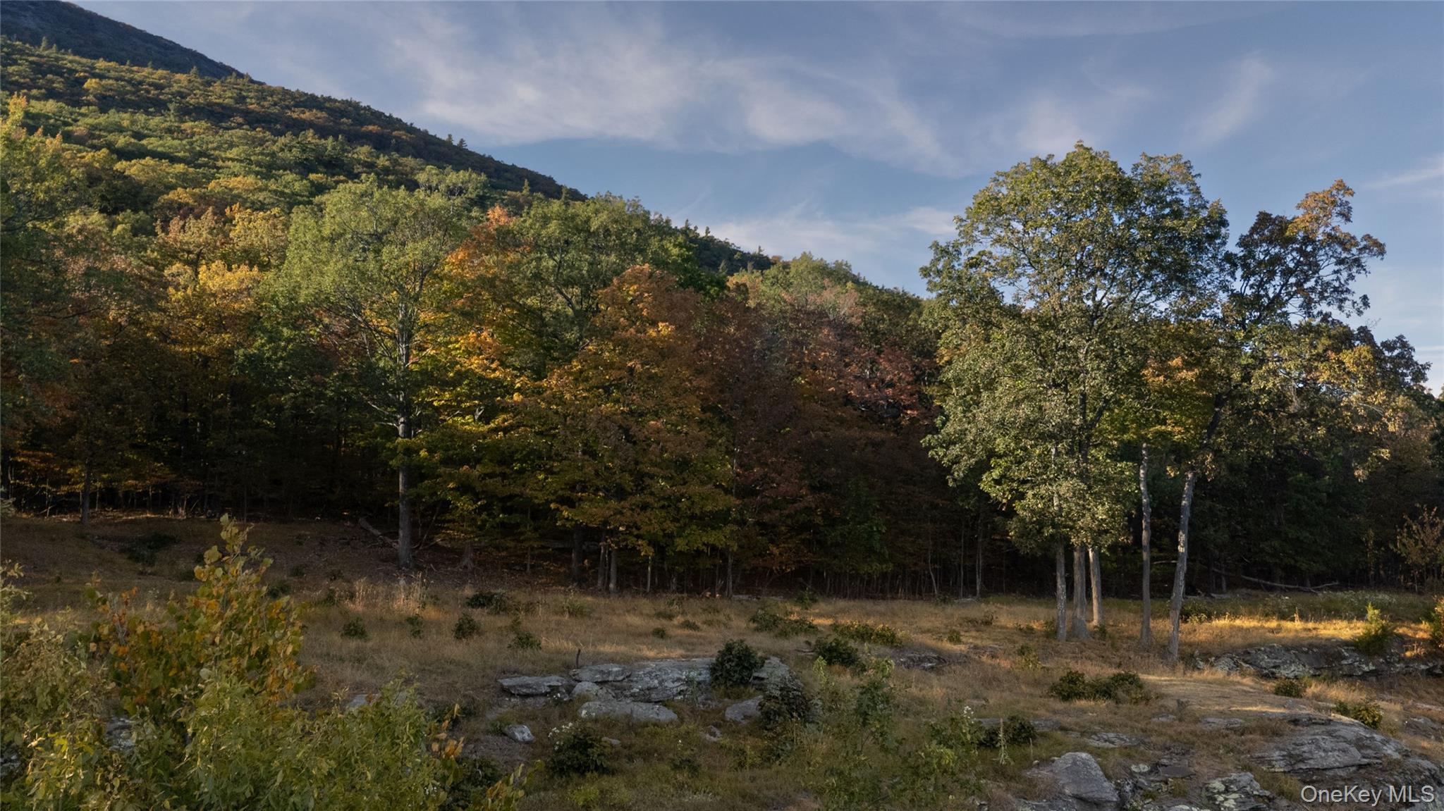 326 Raycliffe Drive, Woodstock, NY 12498