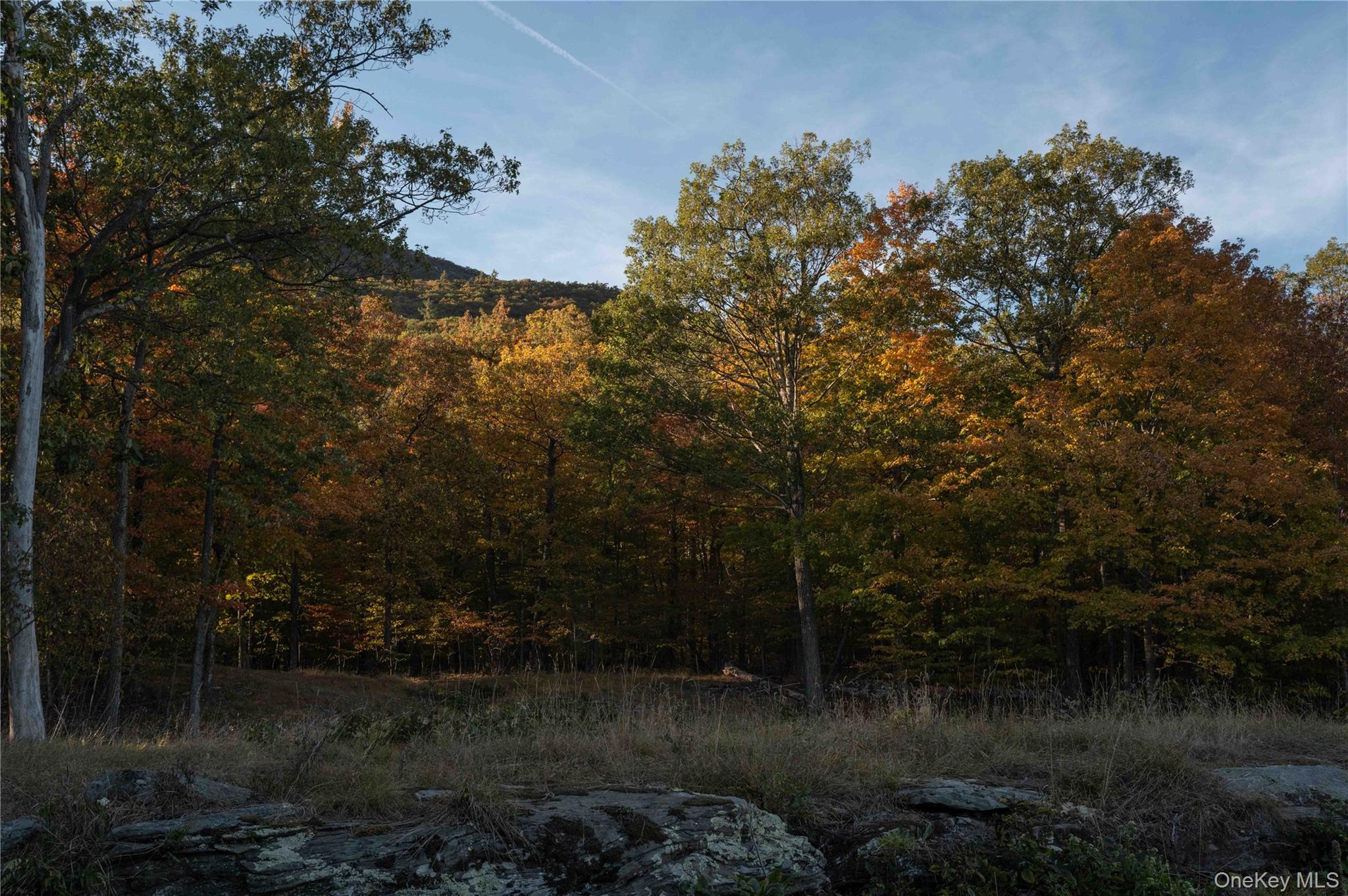 326 Raycliffe Drive, Woodstock, NY 12498