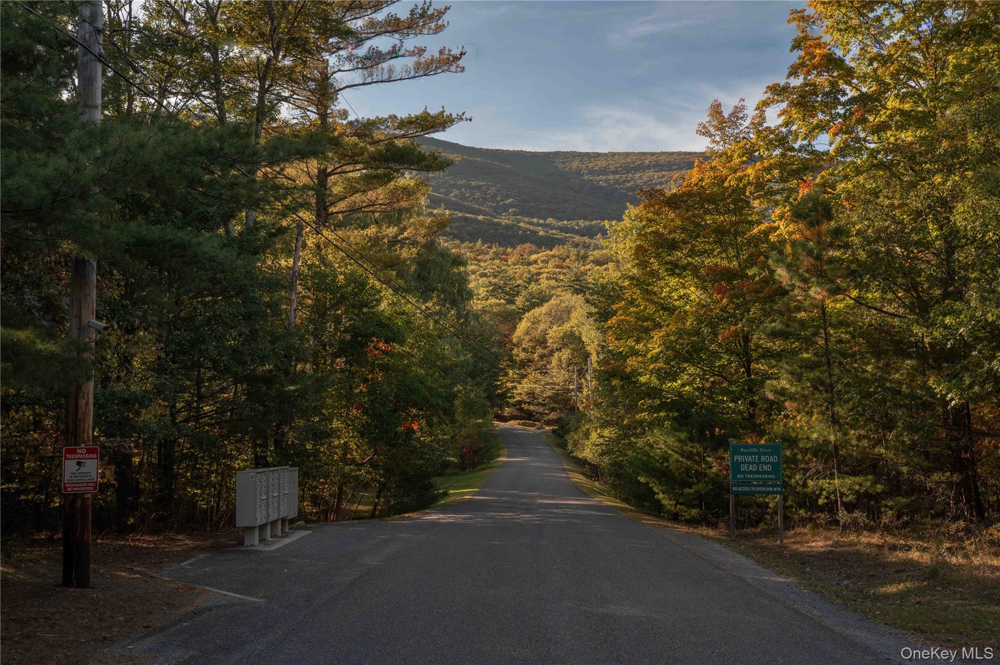 326 Raycliffe Drive, Woodstock, NY 12498