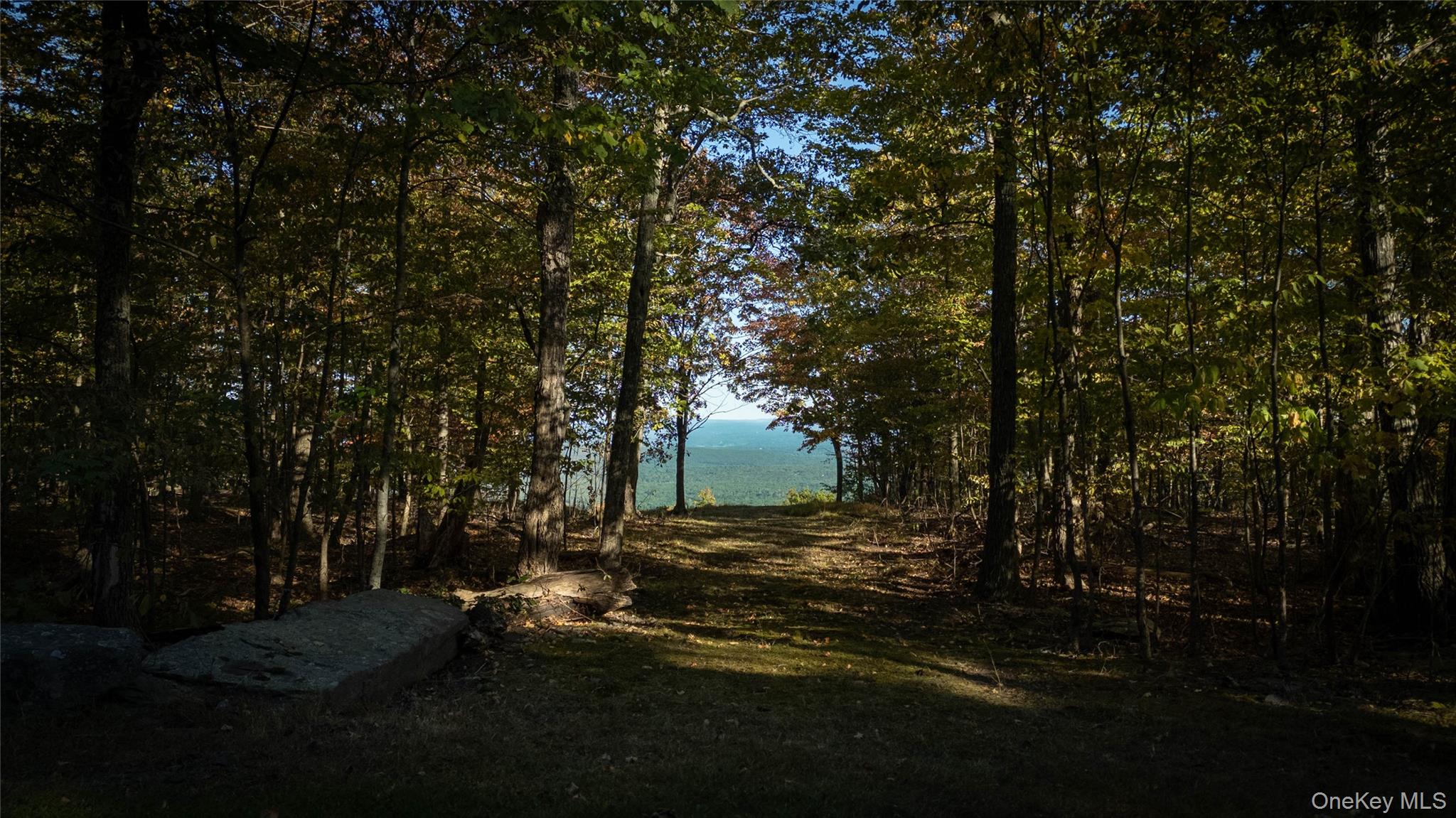 326 Raycliffe Drive, Woodstock, NY 12498