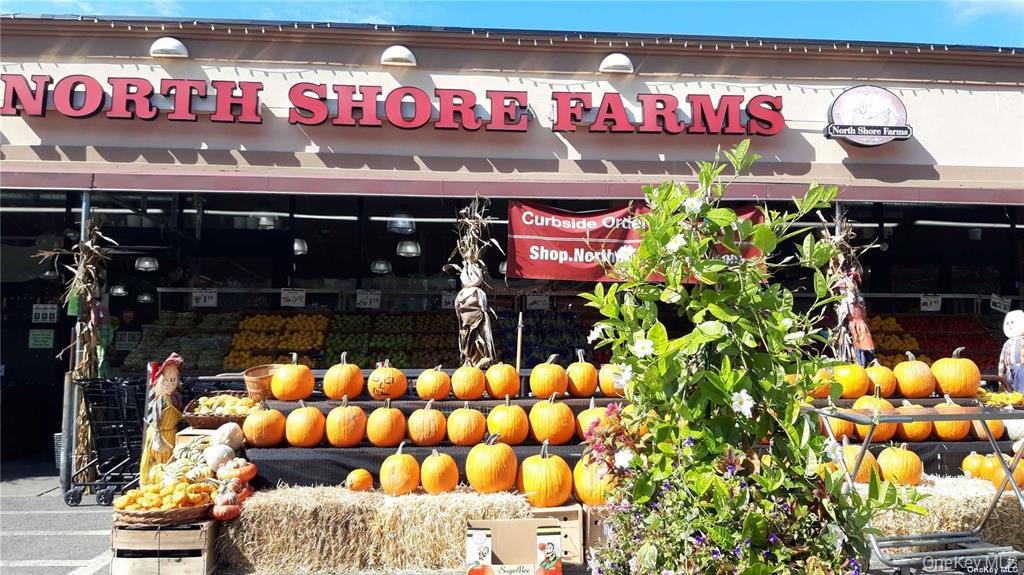 58-28 251 Street # 2, Little Neck, NY 11362