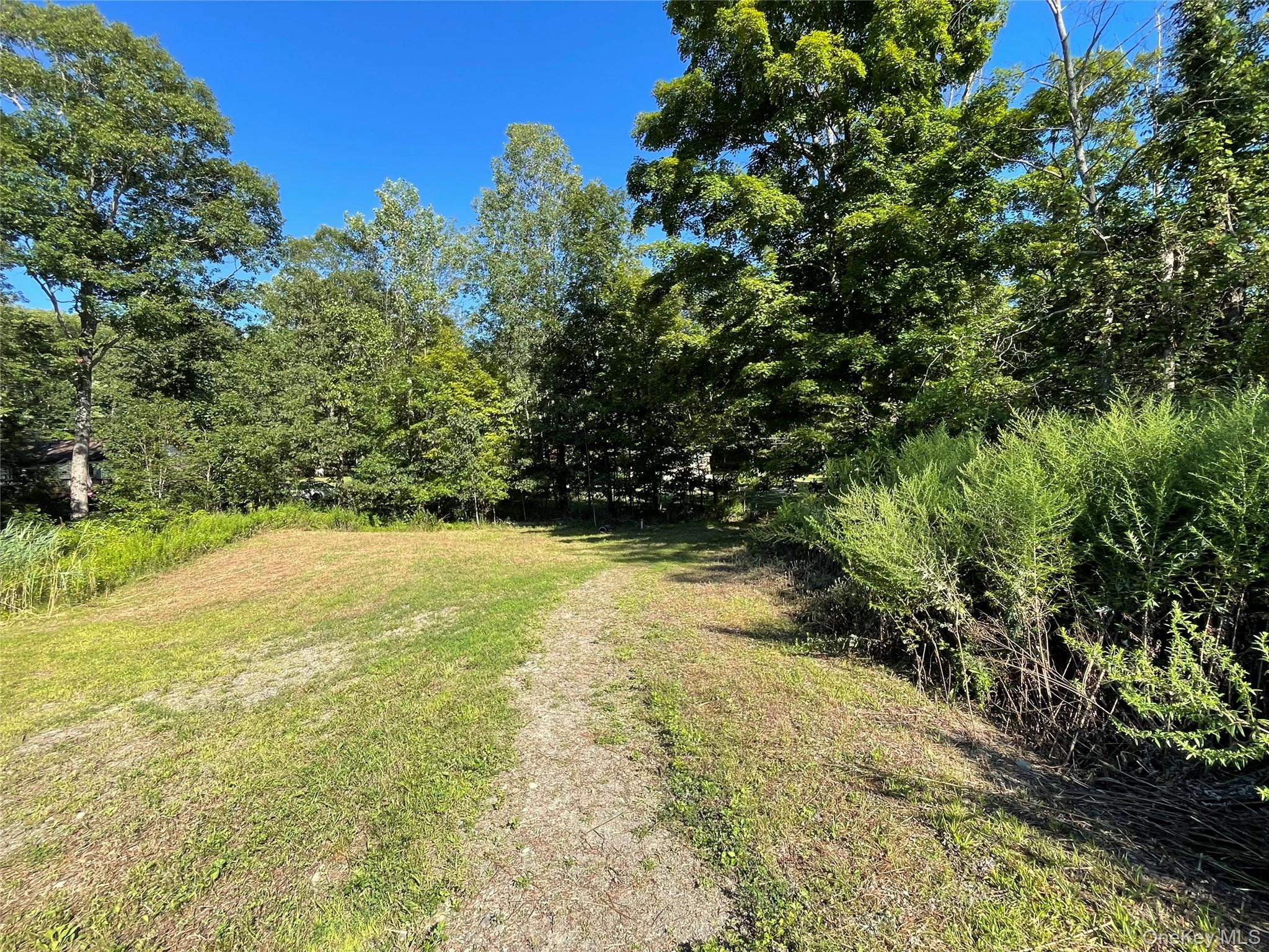 tbd Lake Shore Drive, Pine Bush, NY 12566