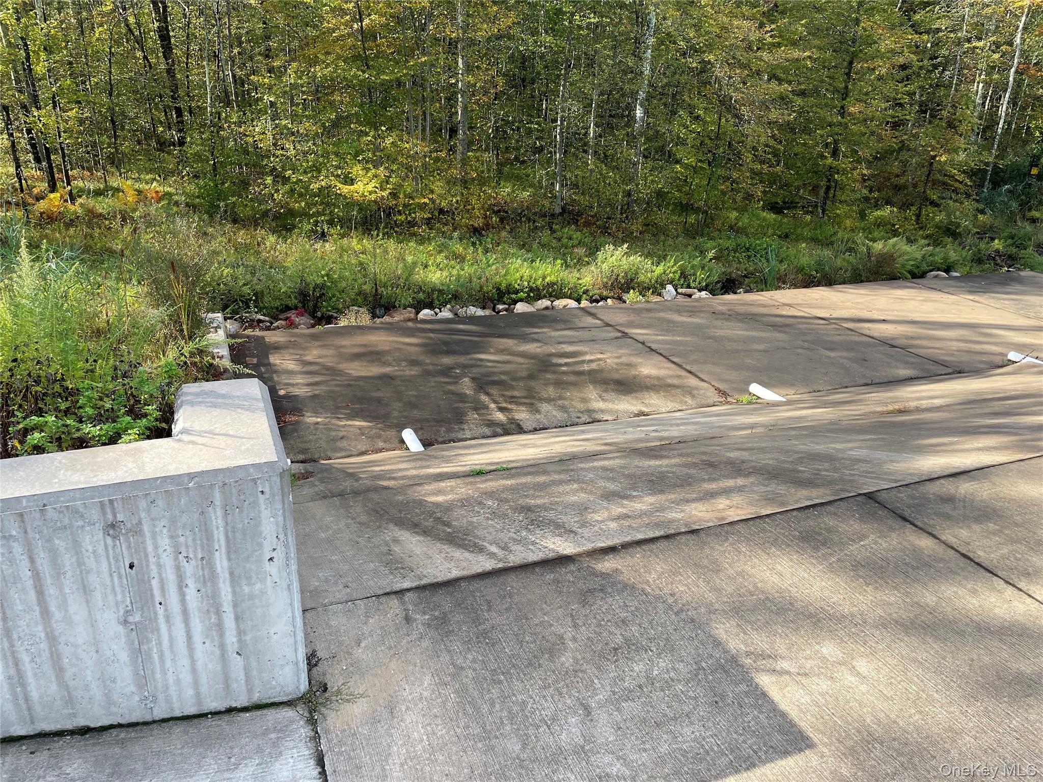 tbd Lake Shore Drive, Pine Bush, NY 12566