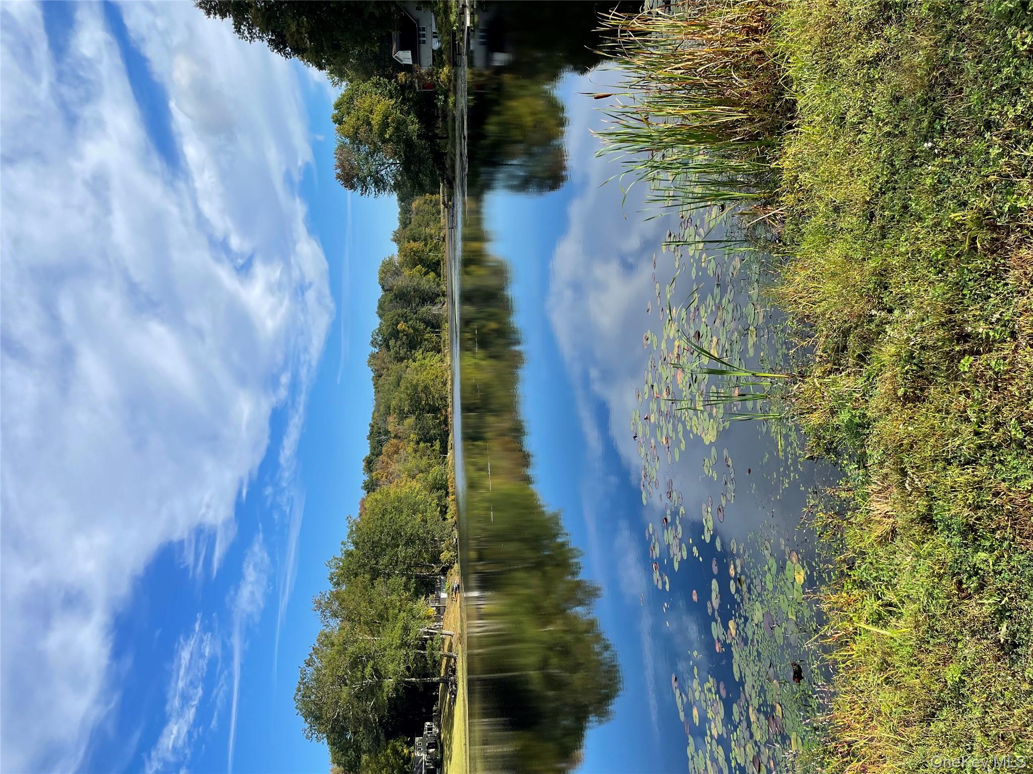 tbd Lake Shore Drive, Pine Bush, NY 12566