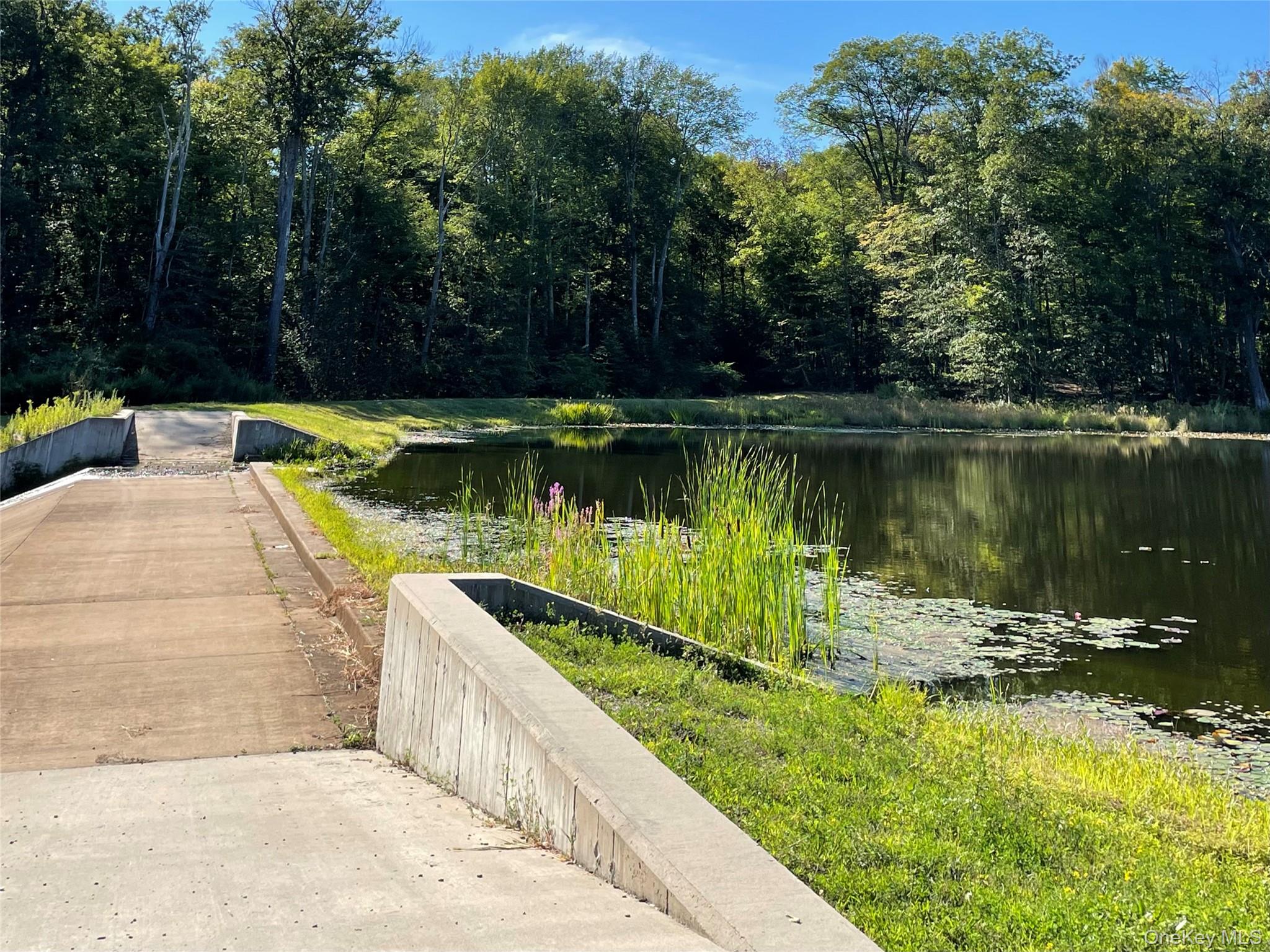 tbd Lake Shore Drive, Pine Bush, NY 12566