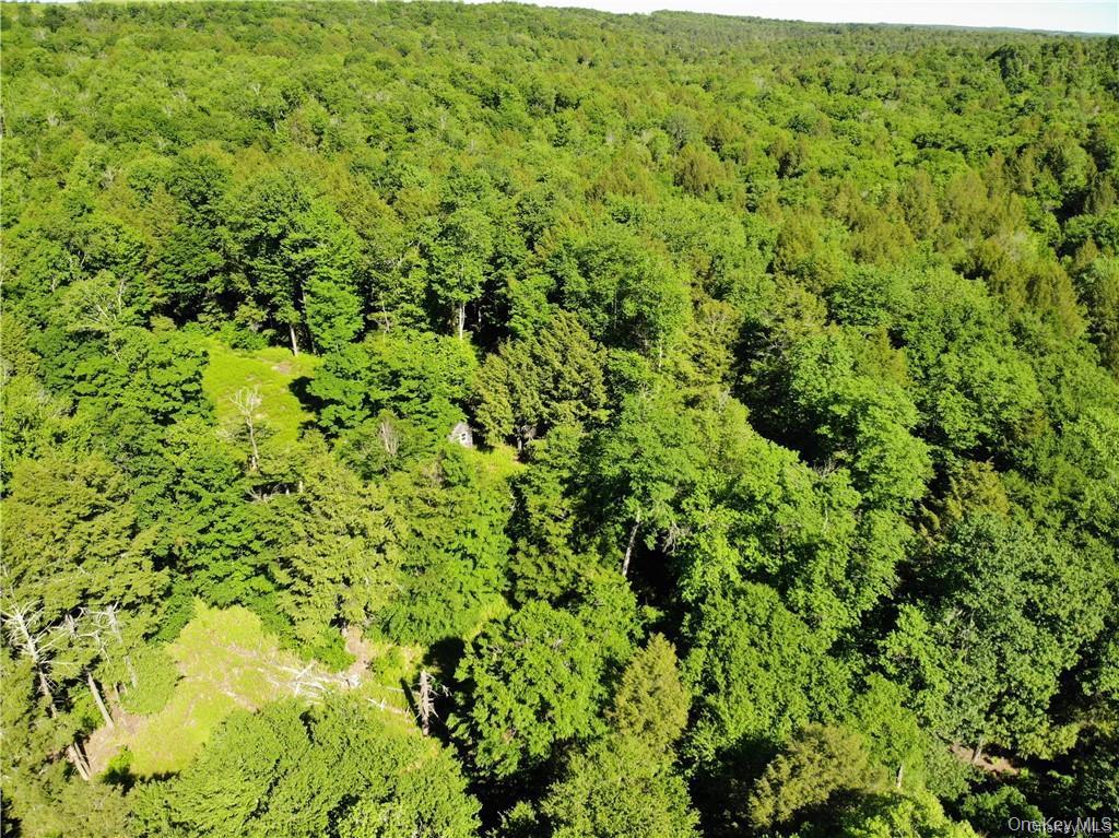 TBD Creamery Road, Mongaup Valley, NY 12720