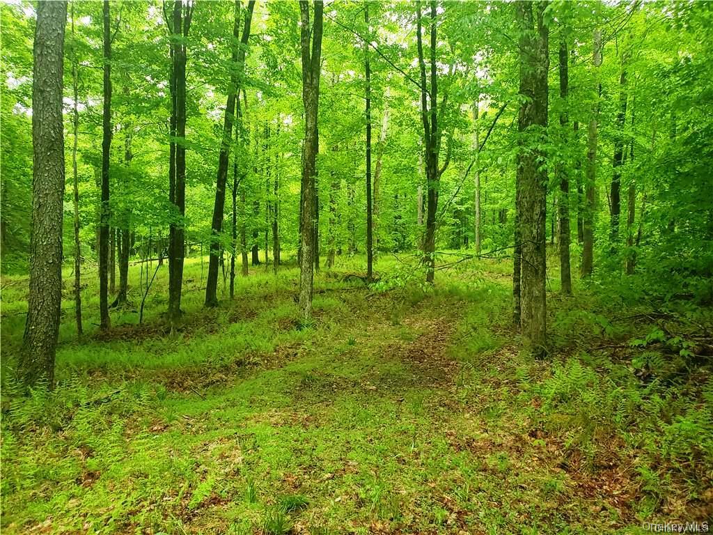 TBD Creamery Road, Mongaup Valley, NY 12720