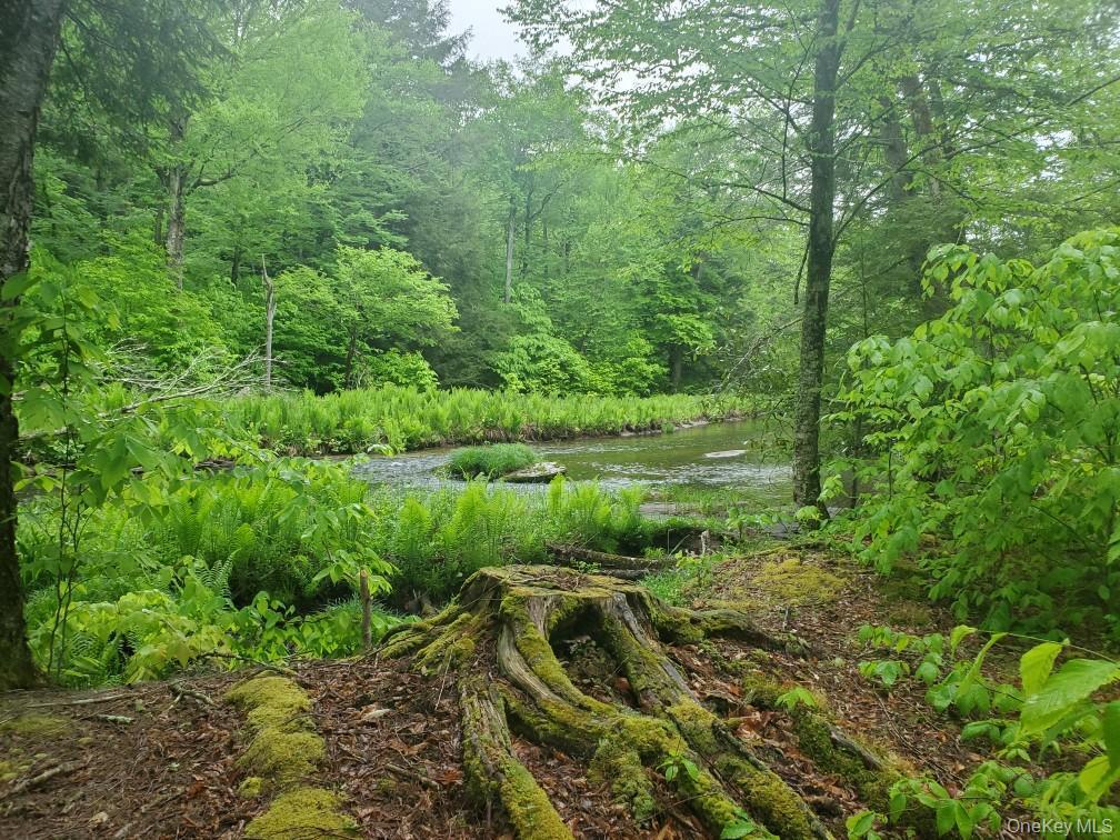 TBD Creamery Road, Mongaup Valley, NY 12720