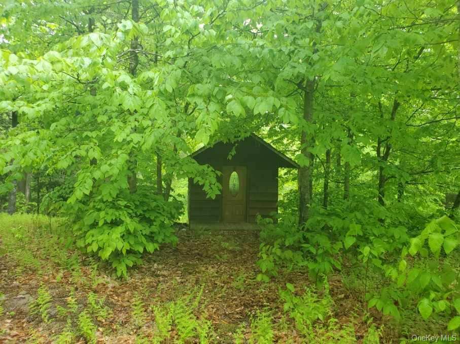 TBD Creamery Road, Mongaup Valley, NY 12720