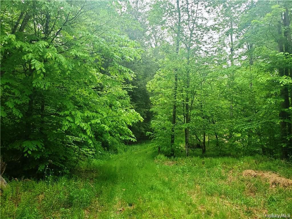 TBD Creamery Road, Mongaup Valley, NY 12720