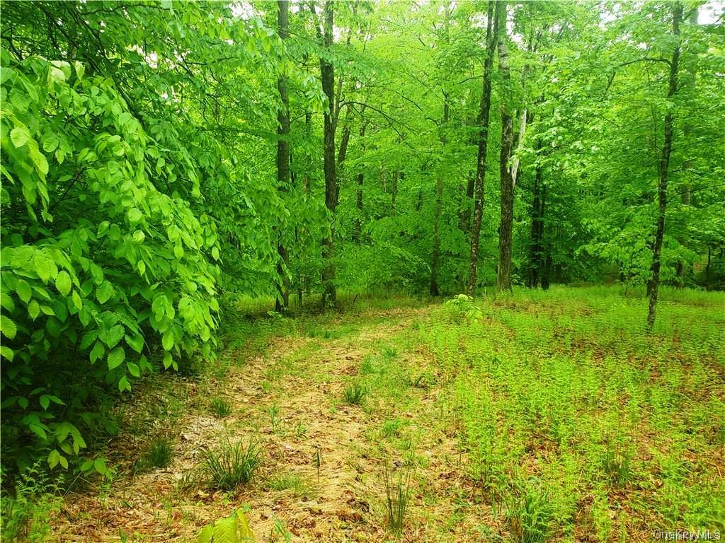 TBD Creamery Road, Mongaup Valley, NY 12720