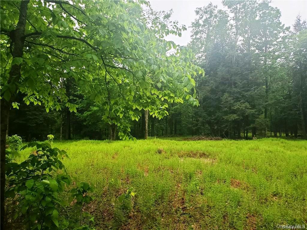TBD Creamery Road, Mongaup Valley, NY 12720