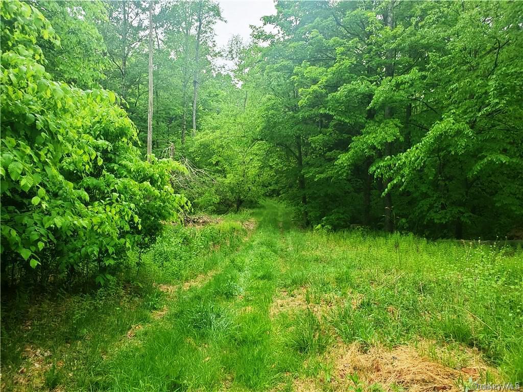 TBD Creamery Road, Mongaup Valley, NY 12720