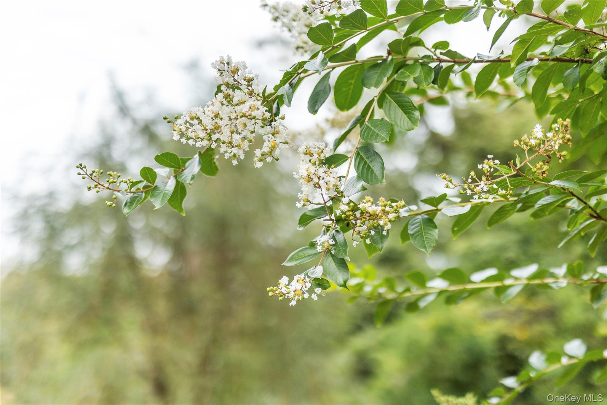 7 Smith Lane, Nissequogue, NY 11780