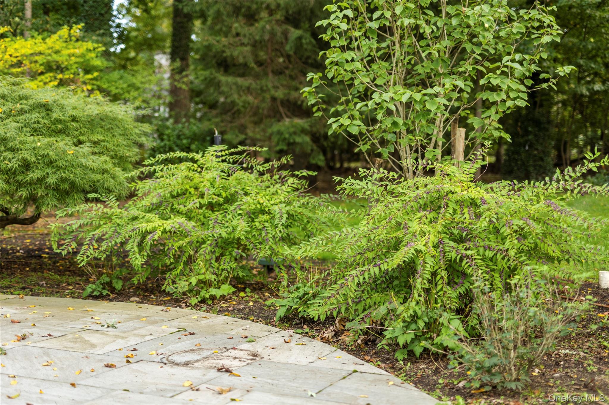 7 Smith Lane, Nissequogue, NY 11780