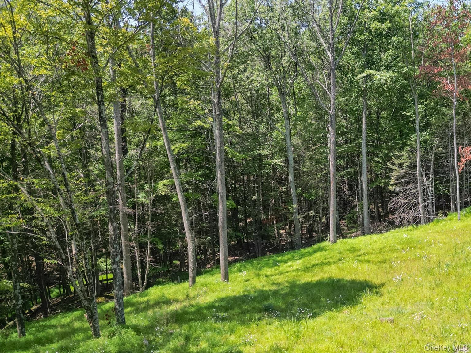 61 Hillside Drive, Shokan, NY 12494