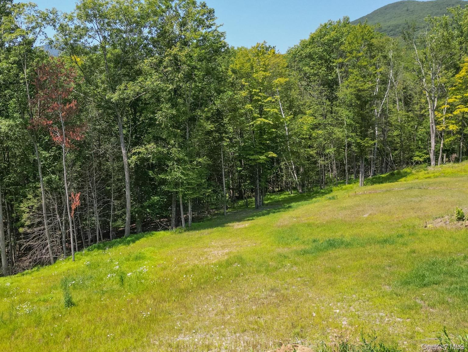 61 Hillside Drive, Shokan, NY 12494