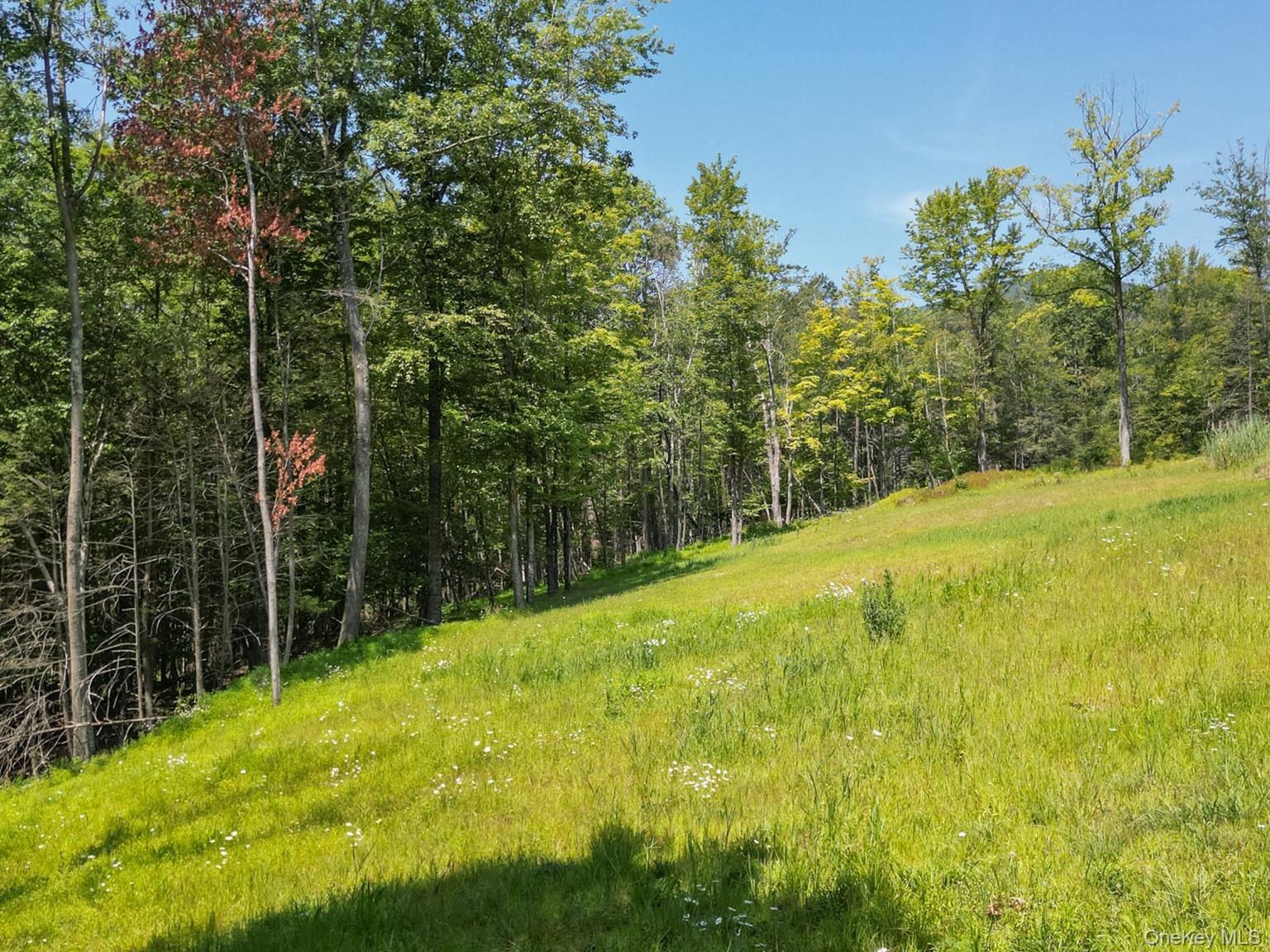 61 Hillside Drive, Shokan, NY 12494