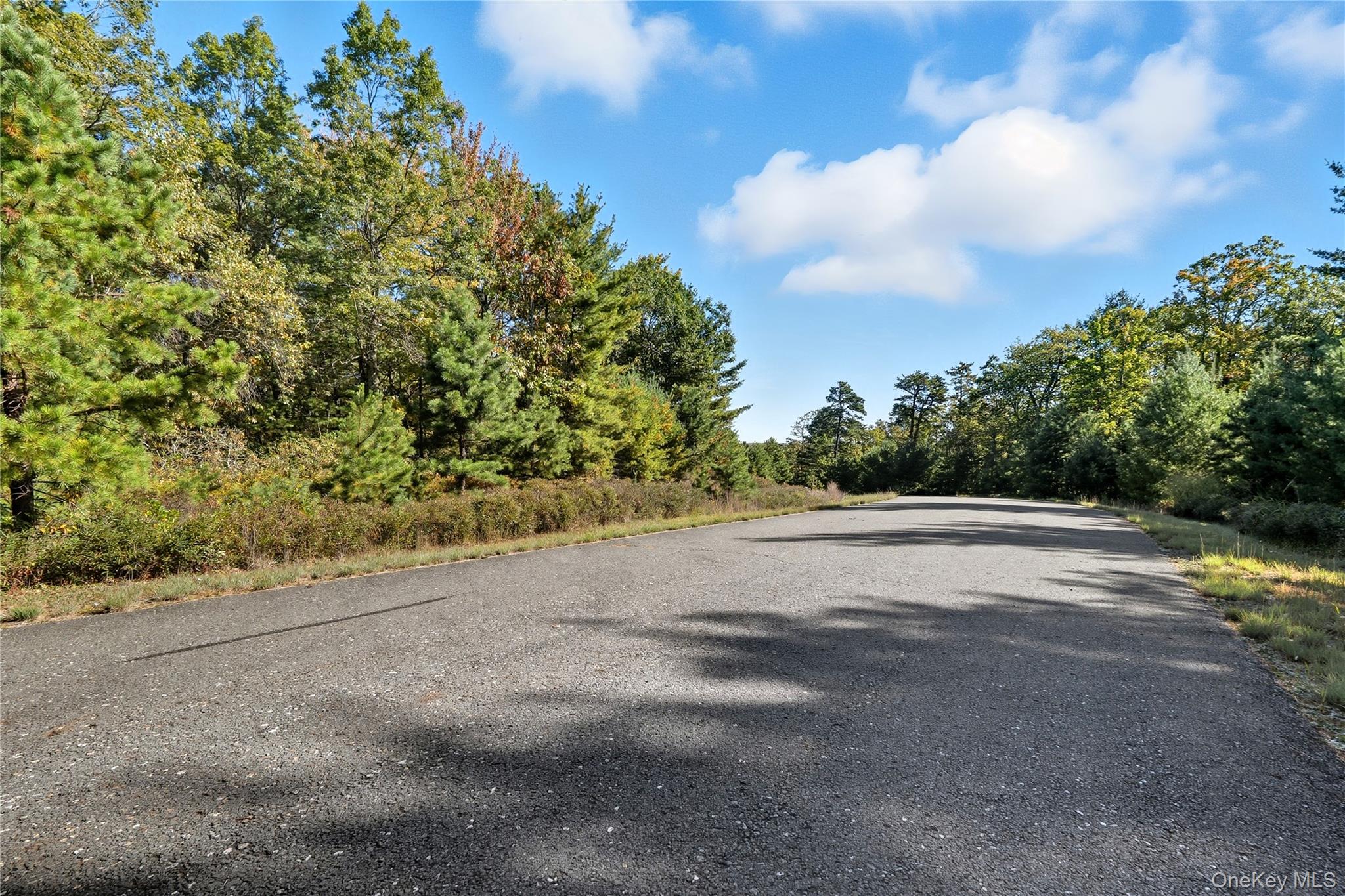 Big Rock Drive, Wurtsboro, NY 12790