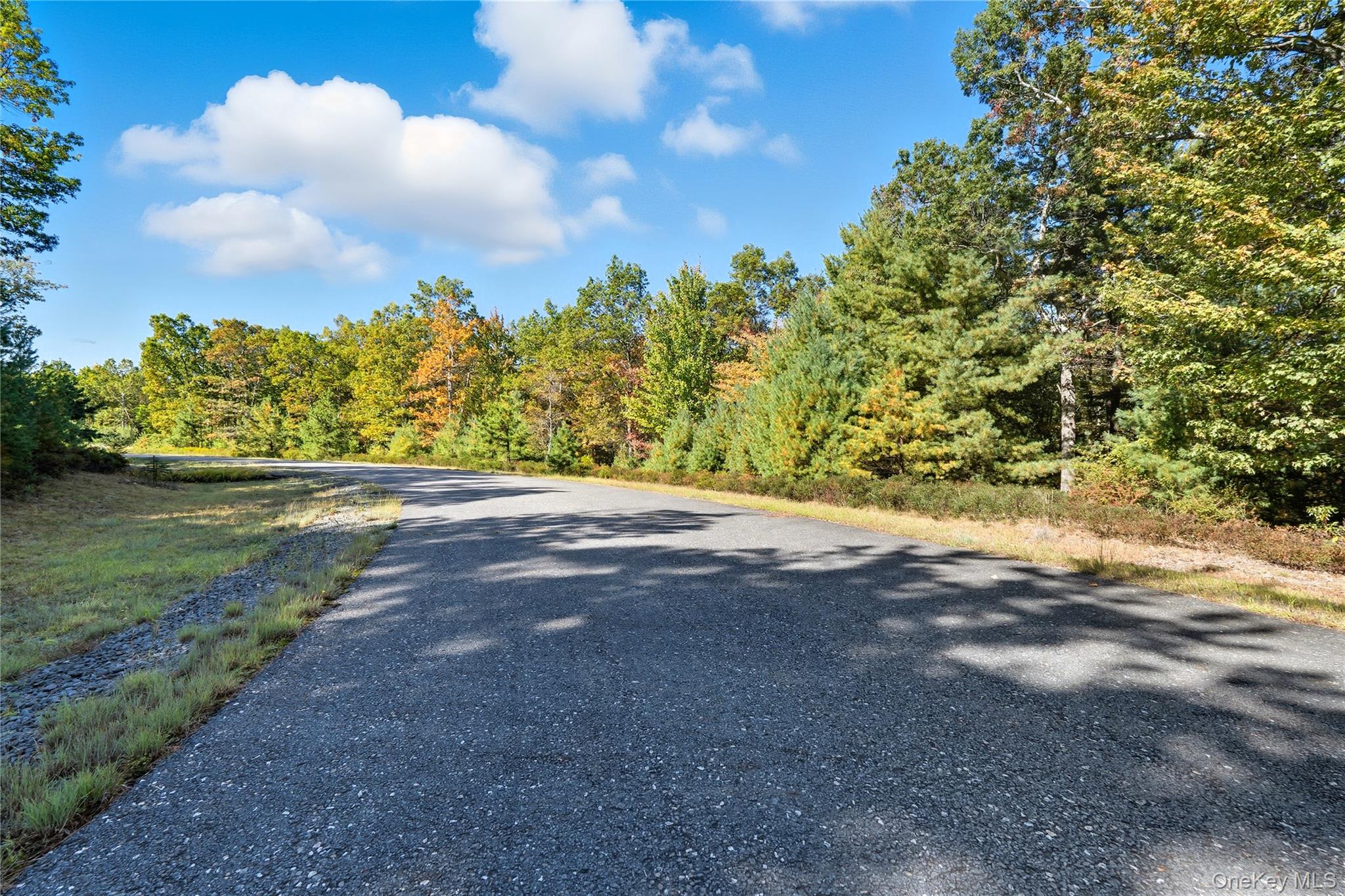 Big Rock Drive, Wurtsboro, NY 12790