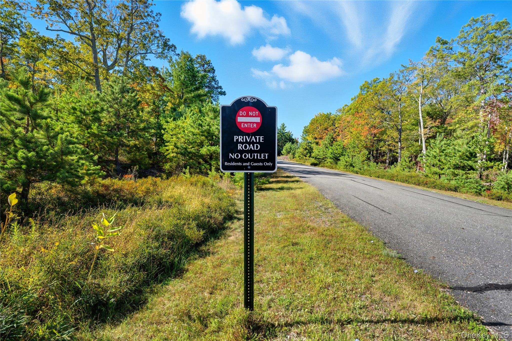 Big Rock Drive, Wurtsboro, NY 12790