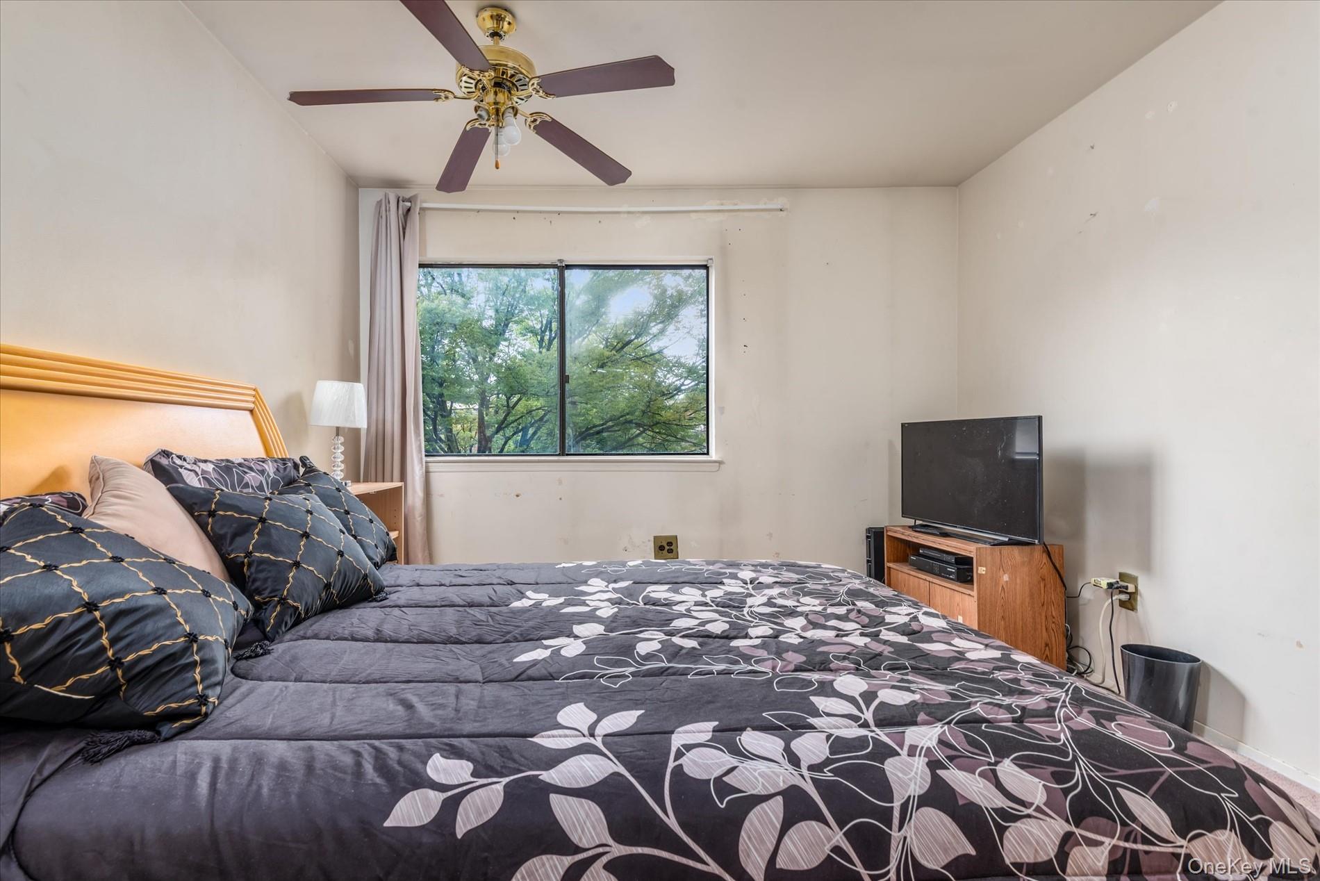 563 Powell Street, Brooklyn, NY 11212