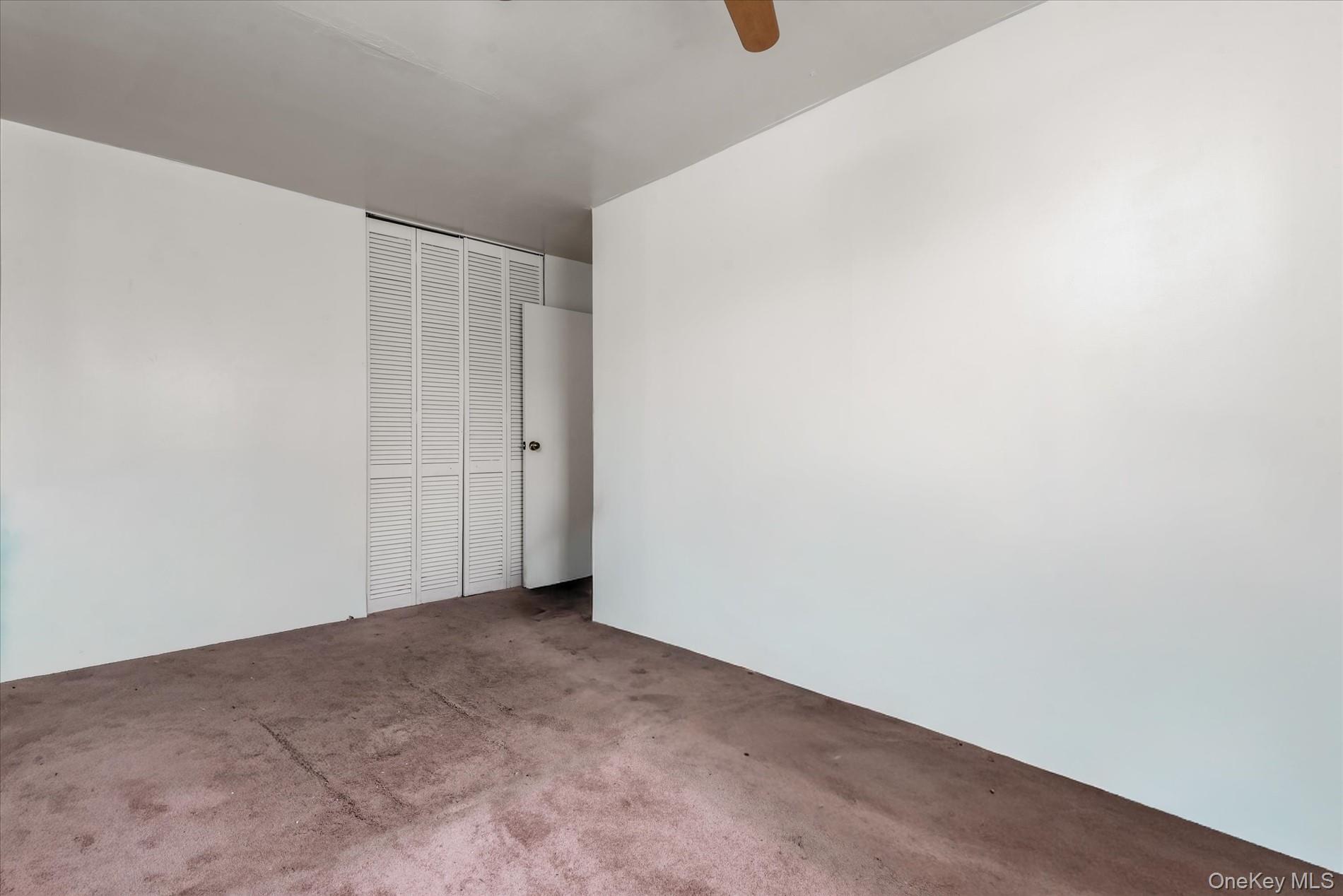 563 Powell Street, Brooklyn, NY 11212