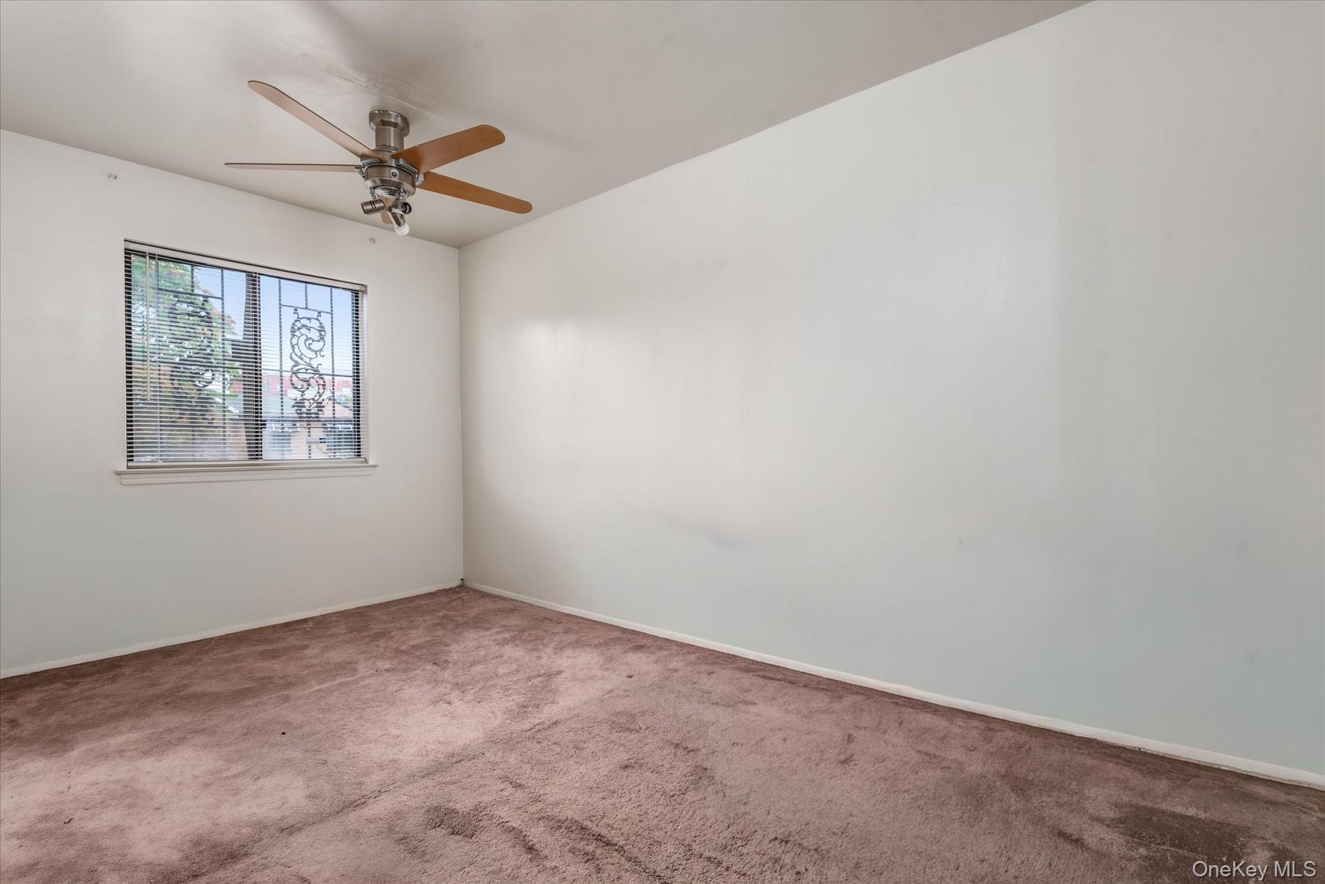 563 Powell Street, Brooklyn, NY 11212