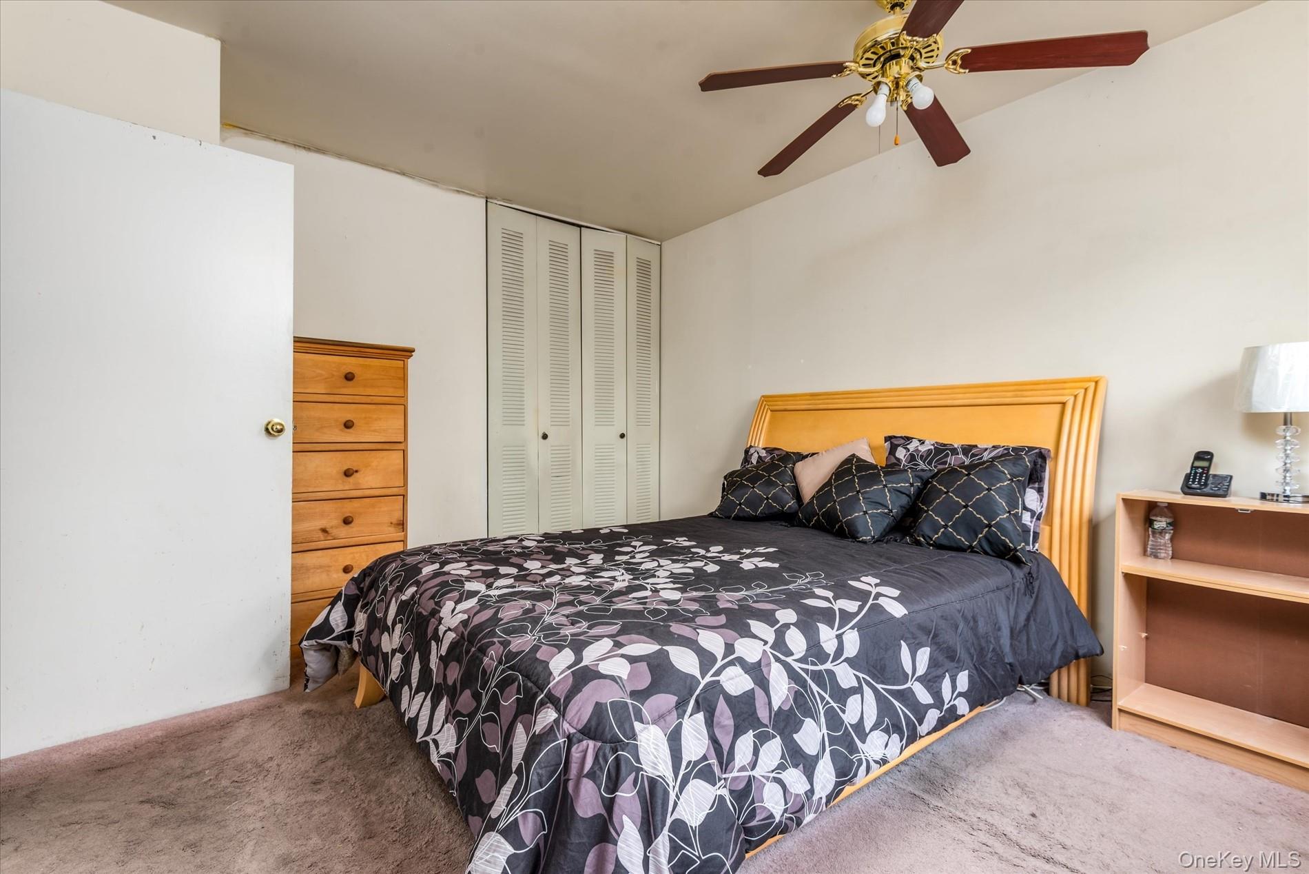 563 Powell Street, Brooklyn, NY 11212