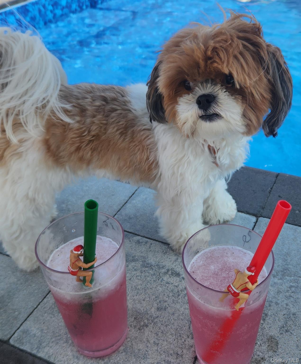 210 Saratoga Boulevard, Island Park, NY 11558