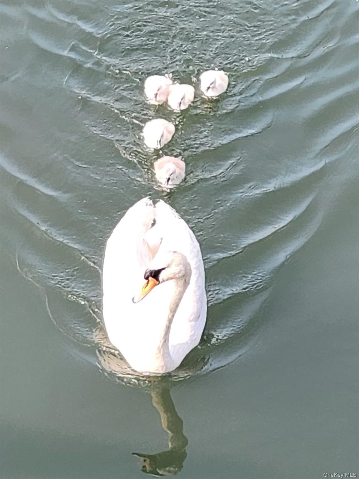 210 Saratoga Boulevard, Island Park, NY 11558