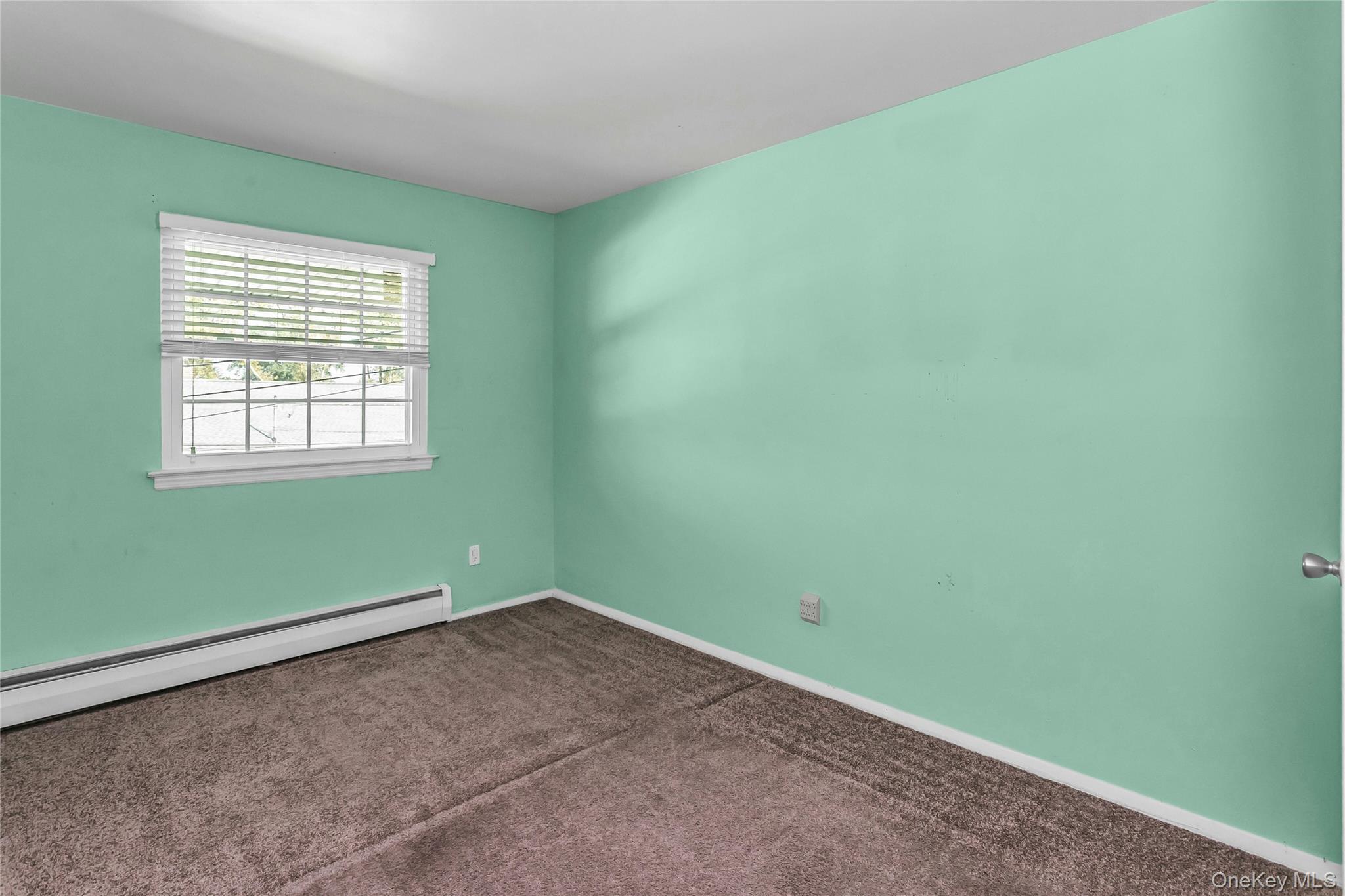 708 Salisbury Park Drive, Westbury, NY 11590