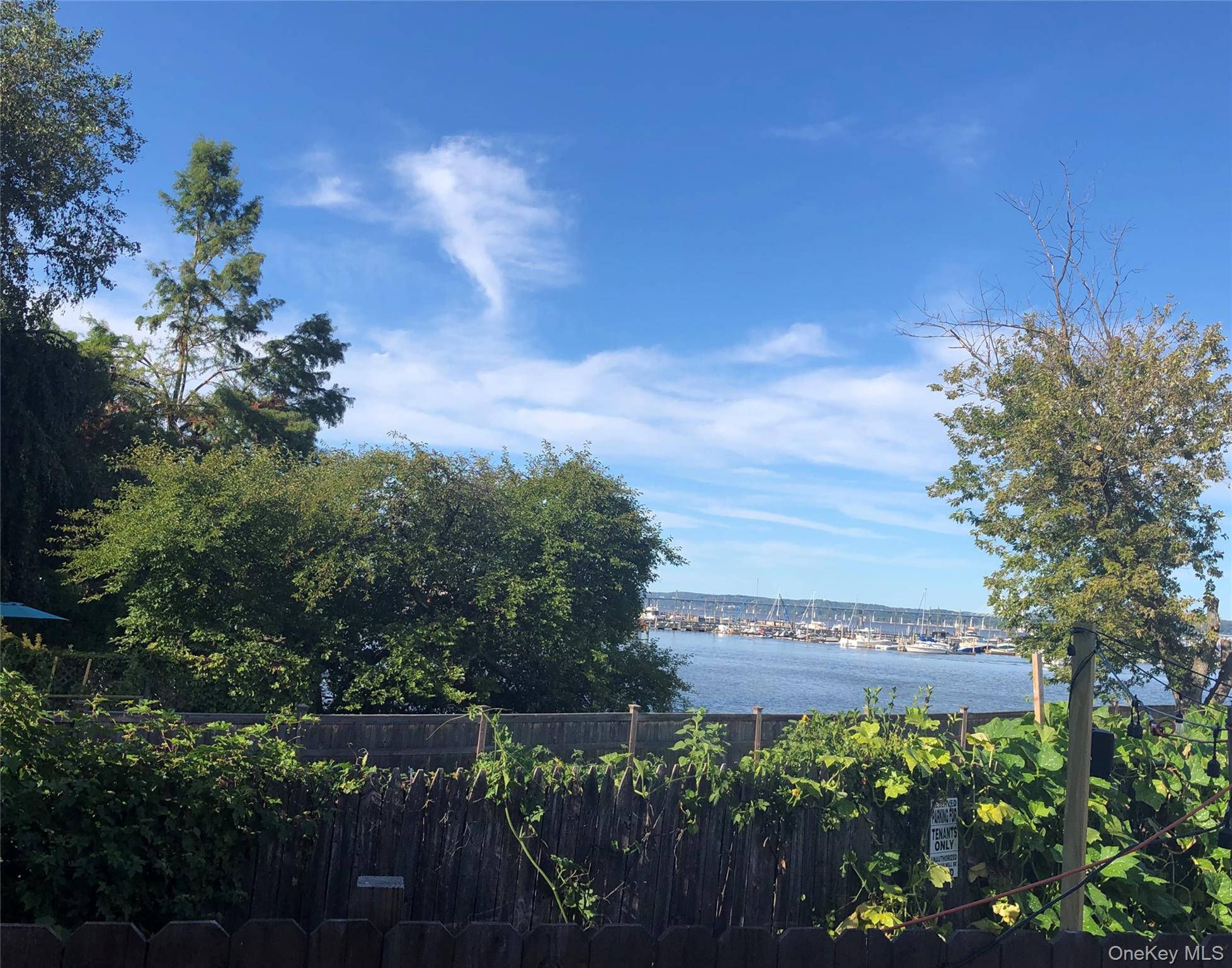 1 W Lawrence Park Drive # 10, Piermont, NY 10968