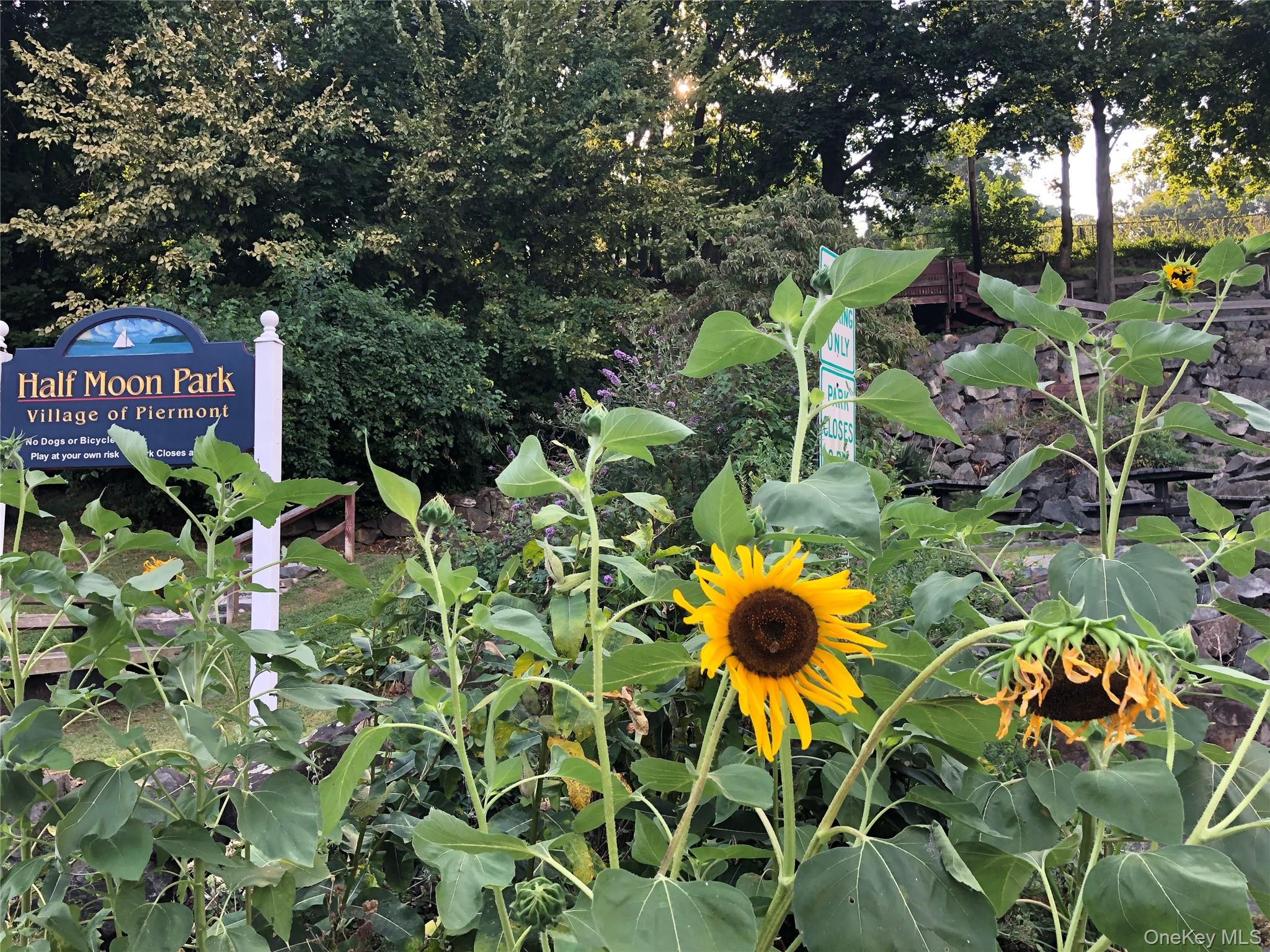 1 W Lawrence Park Drive # 10, Piermont, NY 10968