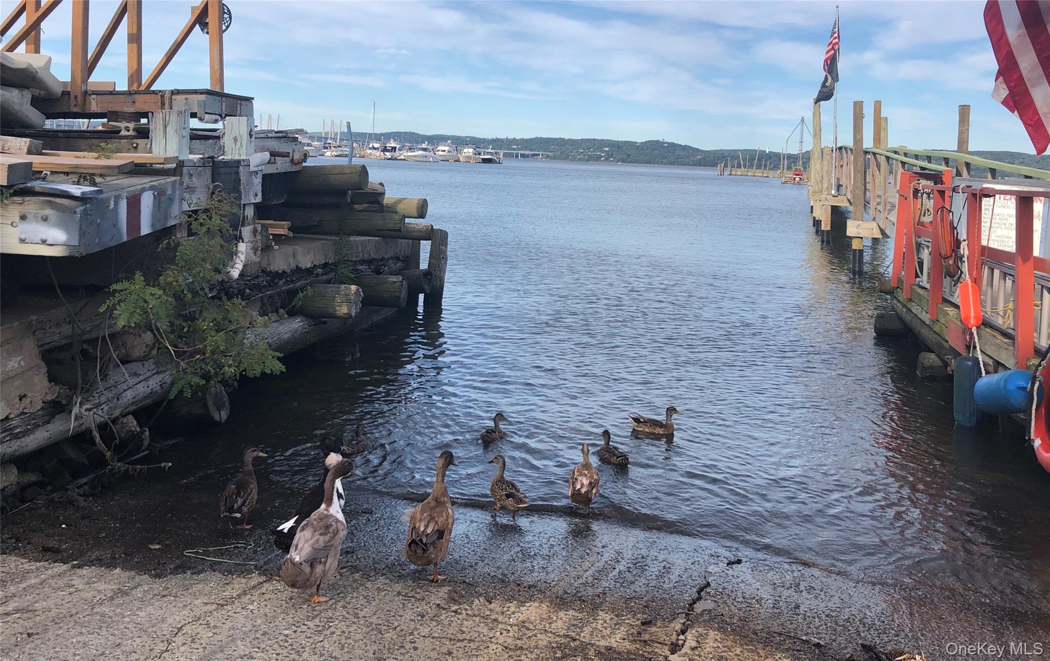 1 W Lawrence Park Drive # 10, Piermont, NY 10968