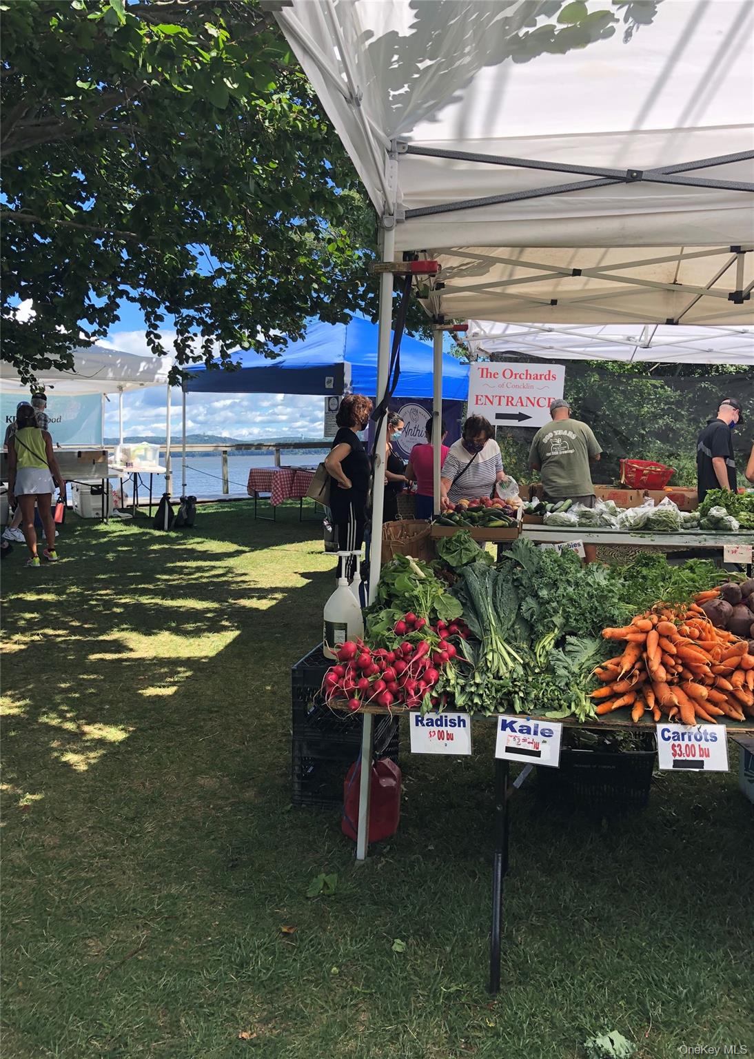 1 W Lawrence Park Drive # 10, Piermont, NY 10968