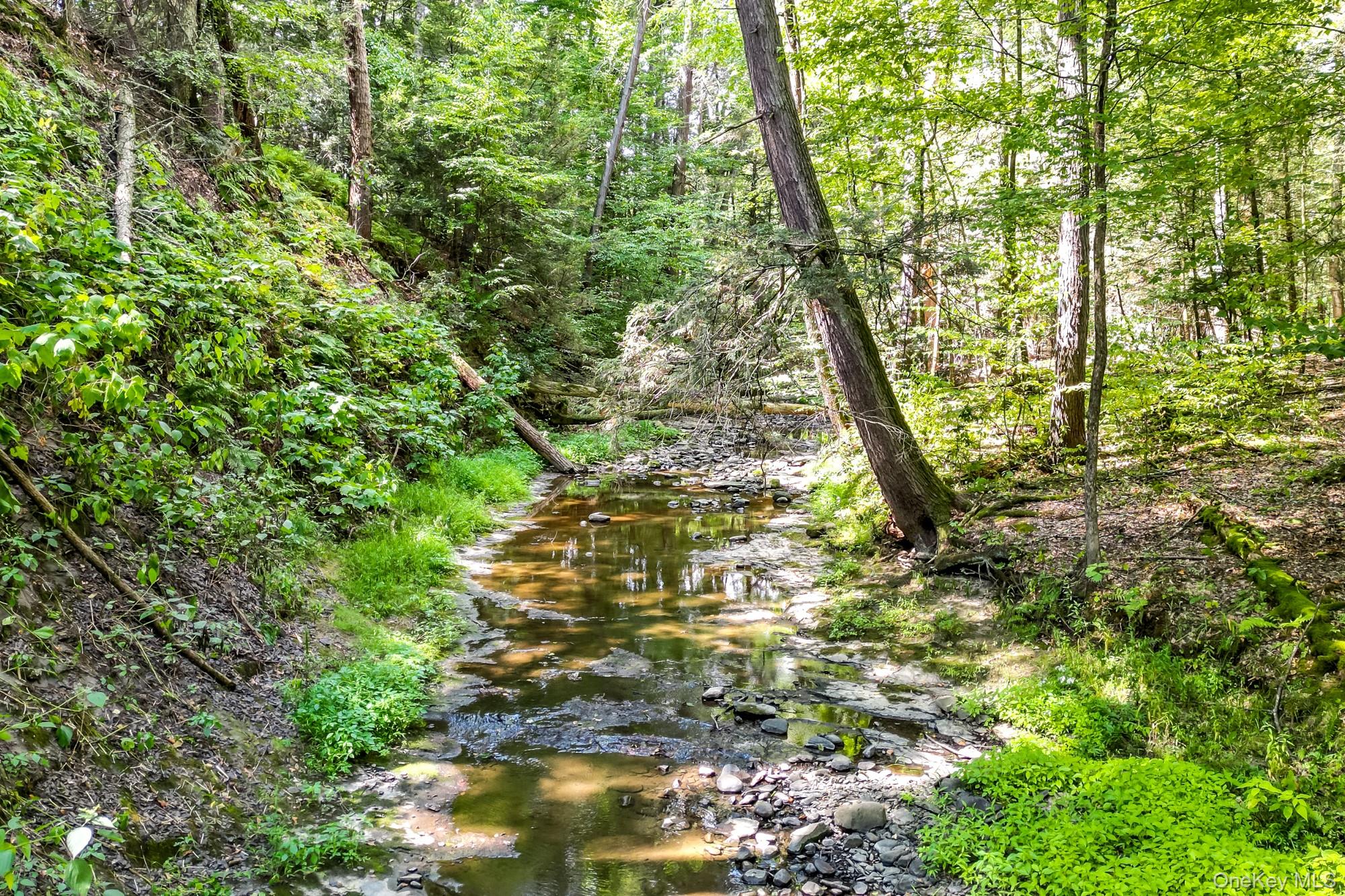 35 Fern Hollow Road, Stone Ridge, NY 12484