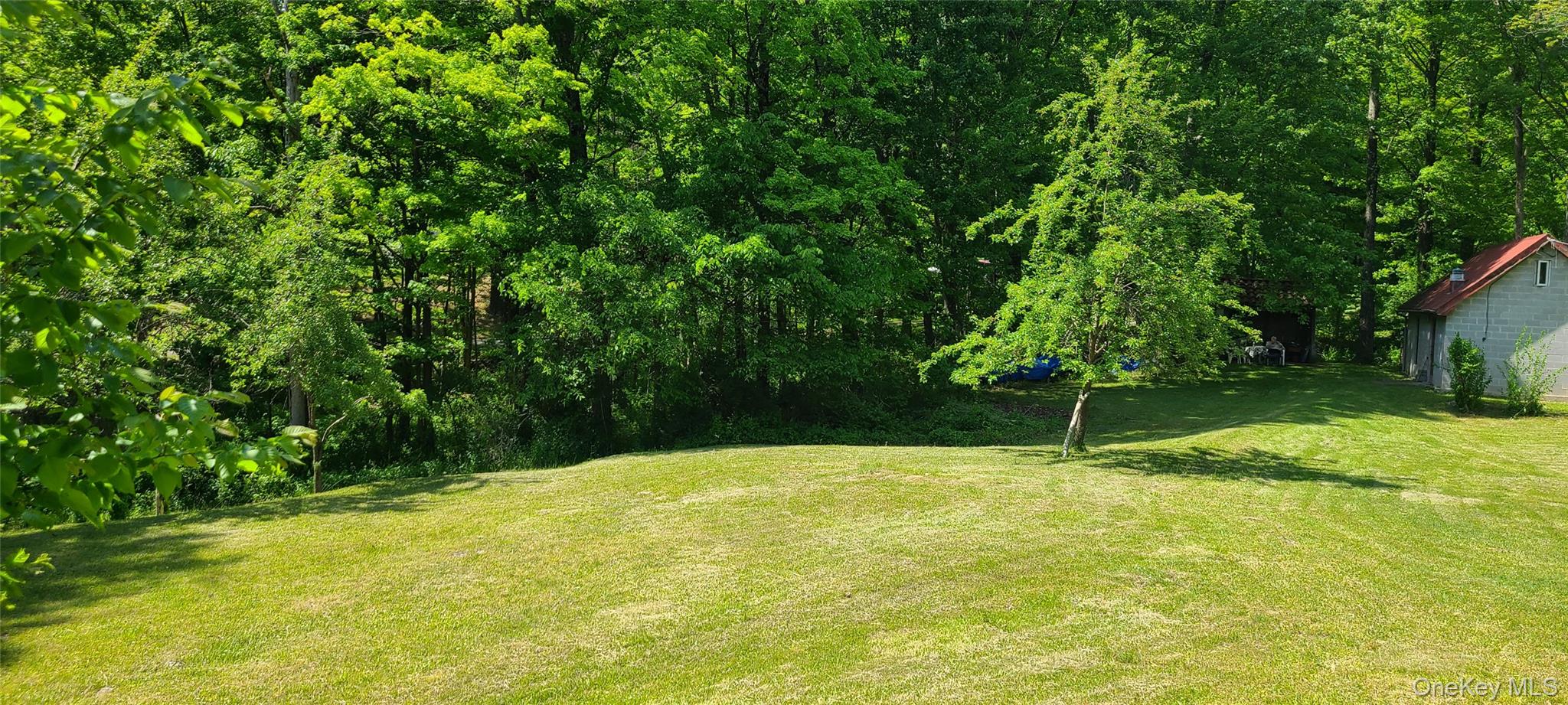 71-79 Dashville Road, New Paltz, NY 12561